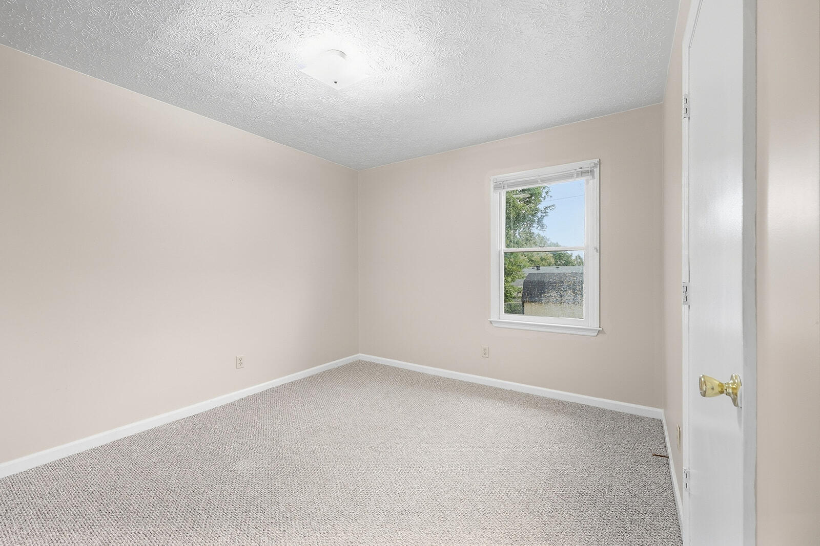113 Roark Court Property Photo 19