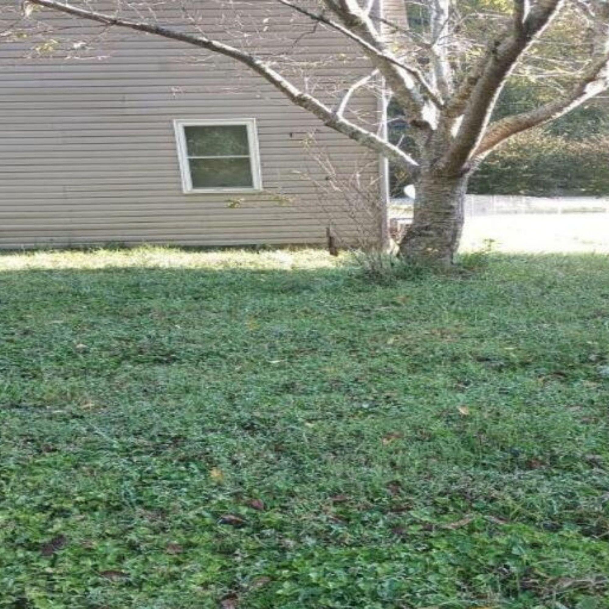 83 Osborne Fork Fork Property Photo 5