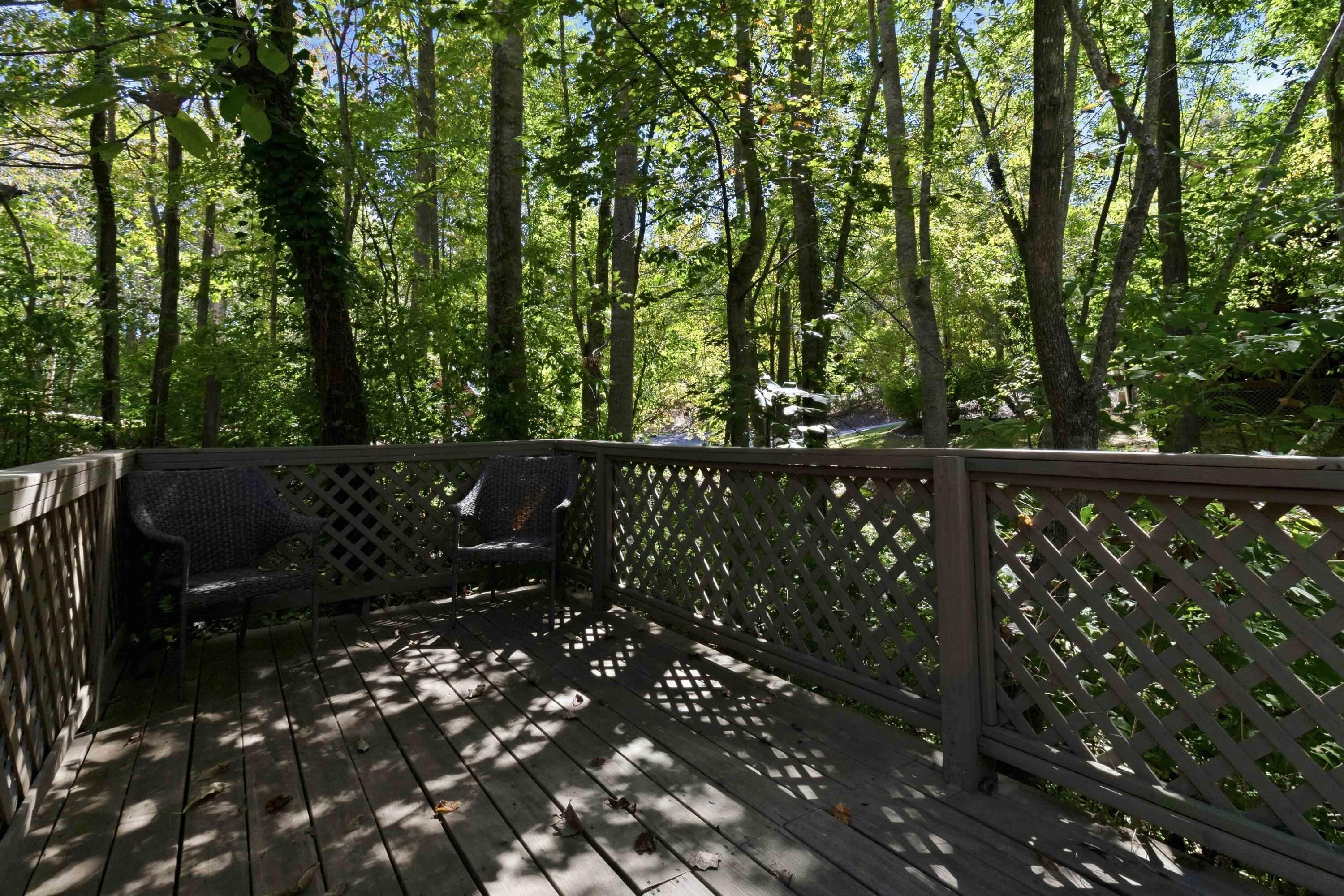 239 Enchanted Forest Way Property Photo 41