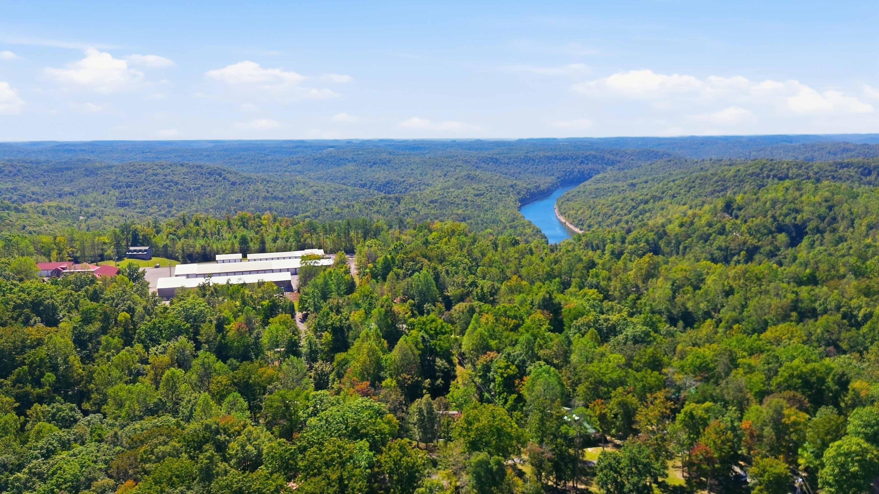 239 Enchanted Forest Way Property Photo 47