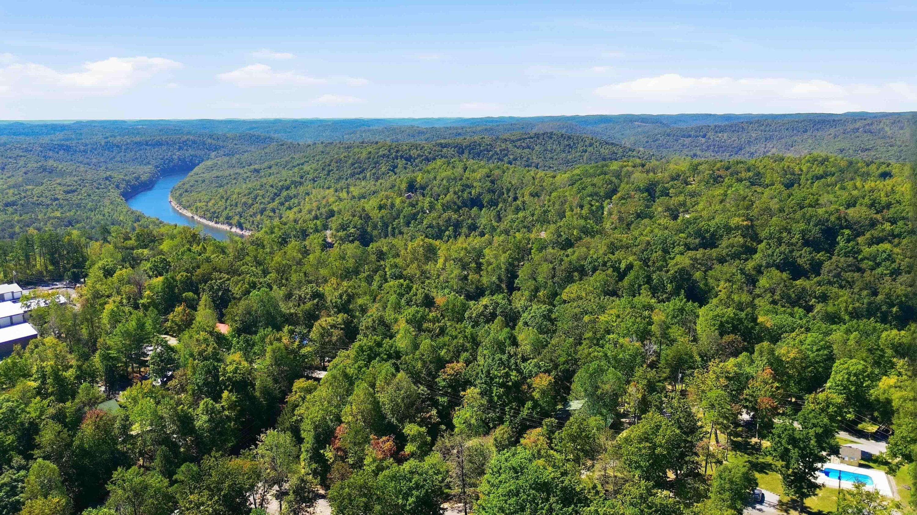 239 Enchanted Forest Way Property Photo 49