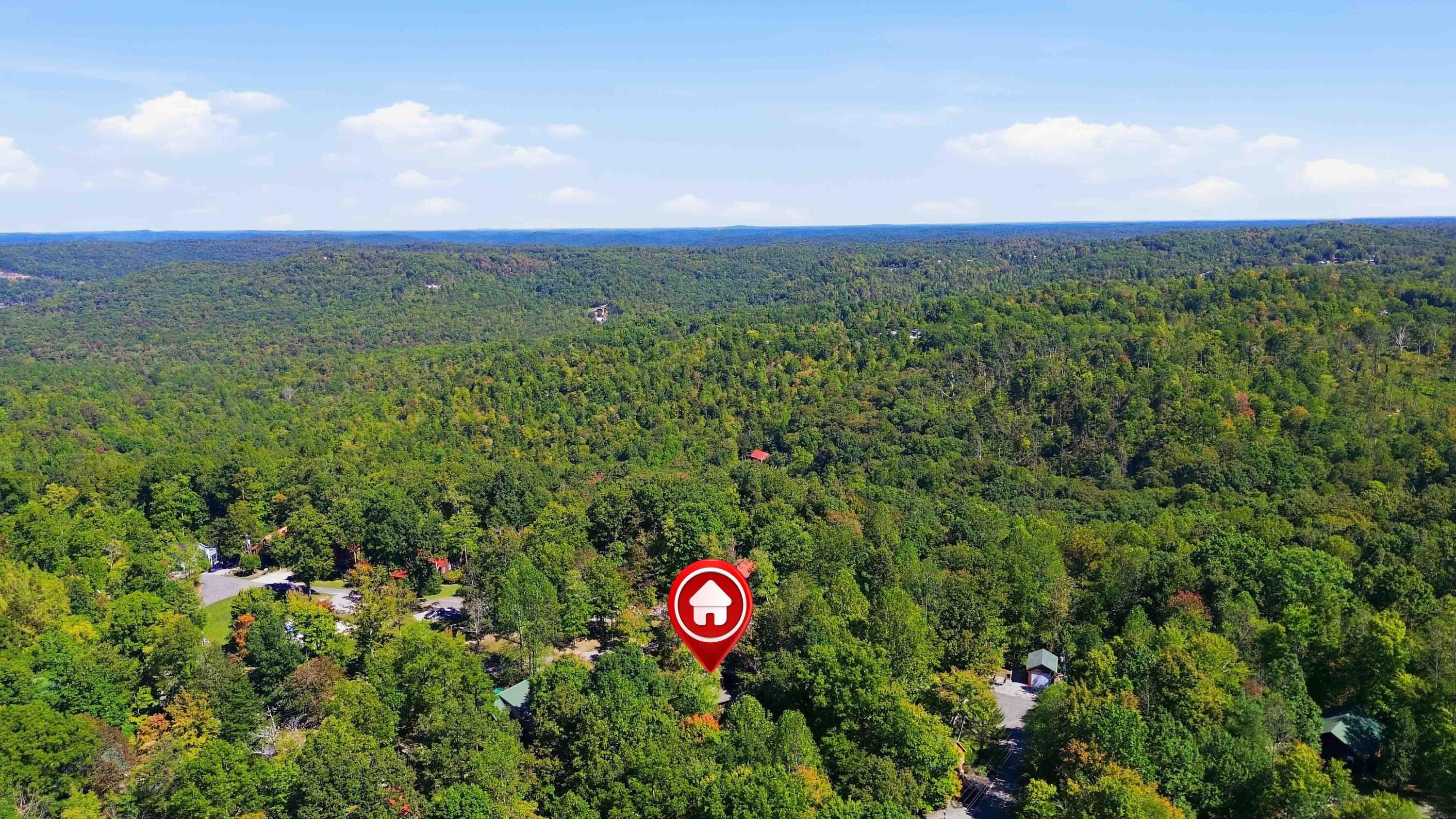 239 Enchanted Forest Way Property Photo 53