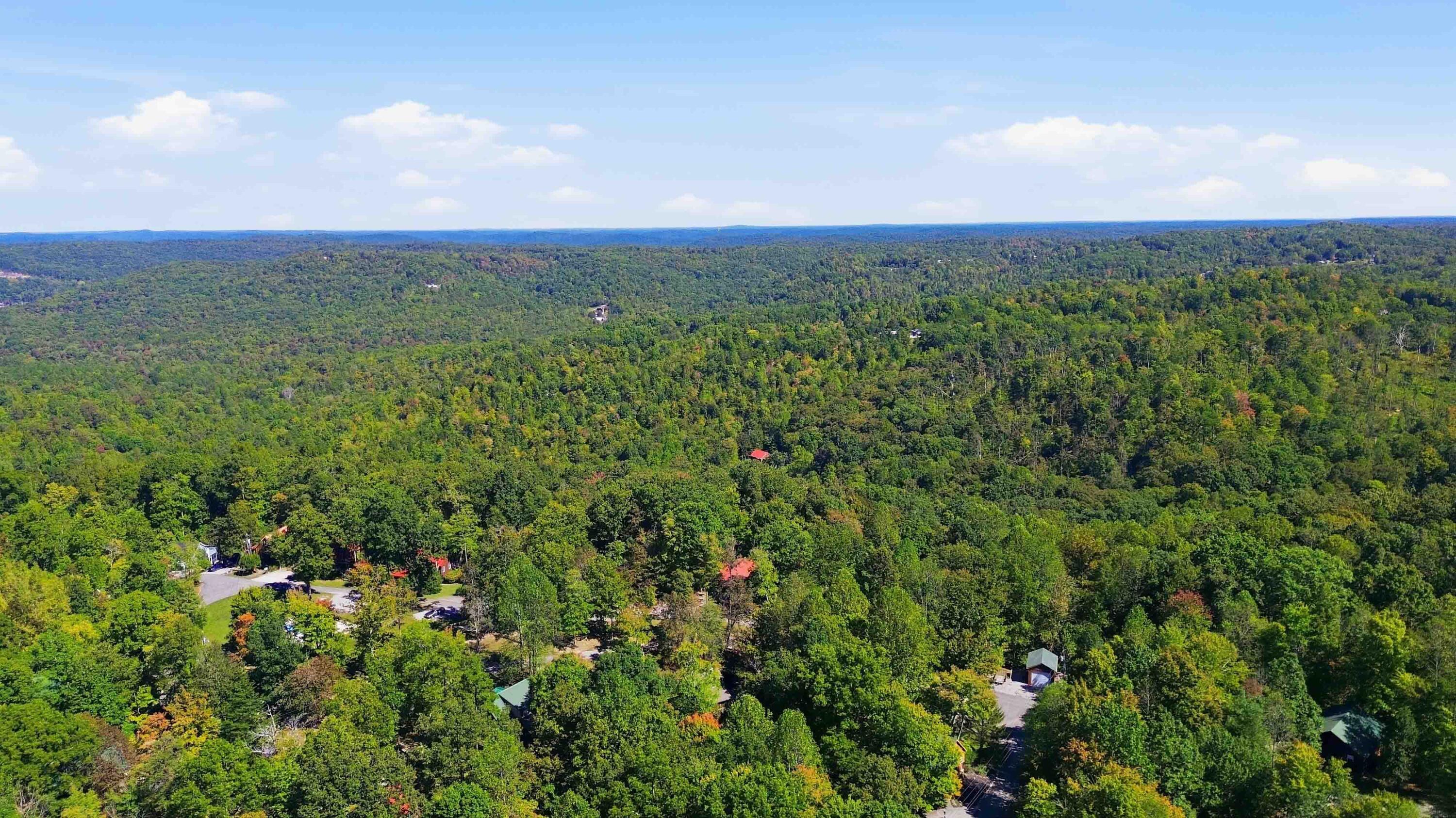 239 Enchanted Forest Way Property Photo 54