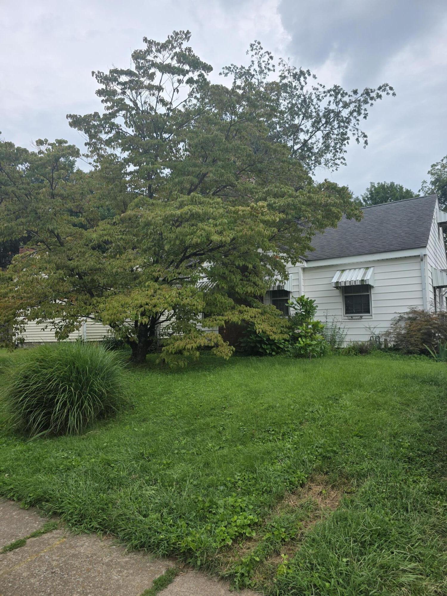 528 Henry Clay Boulevard Property Photo 1
