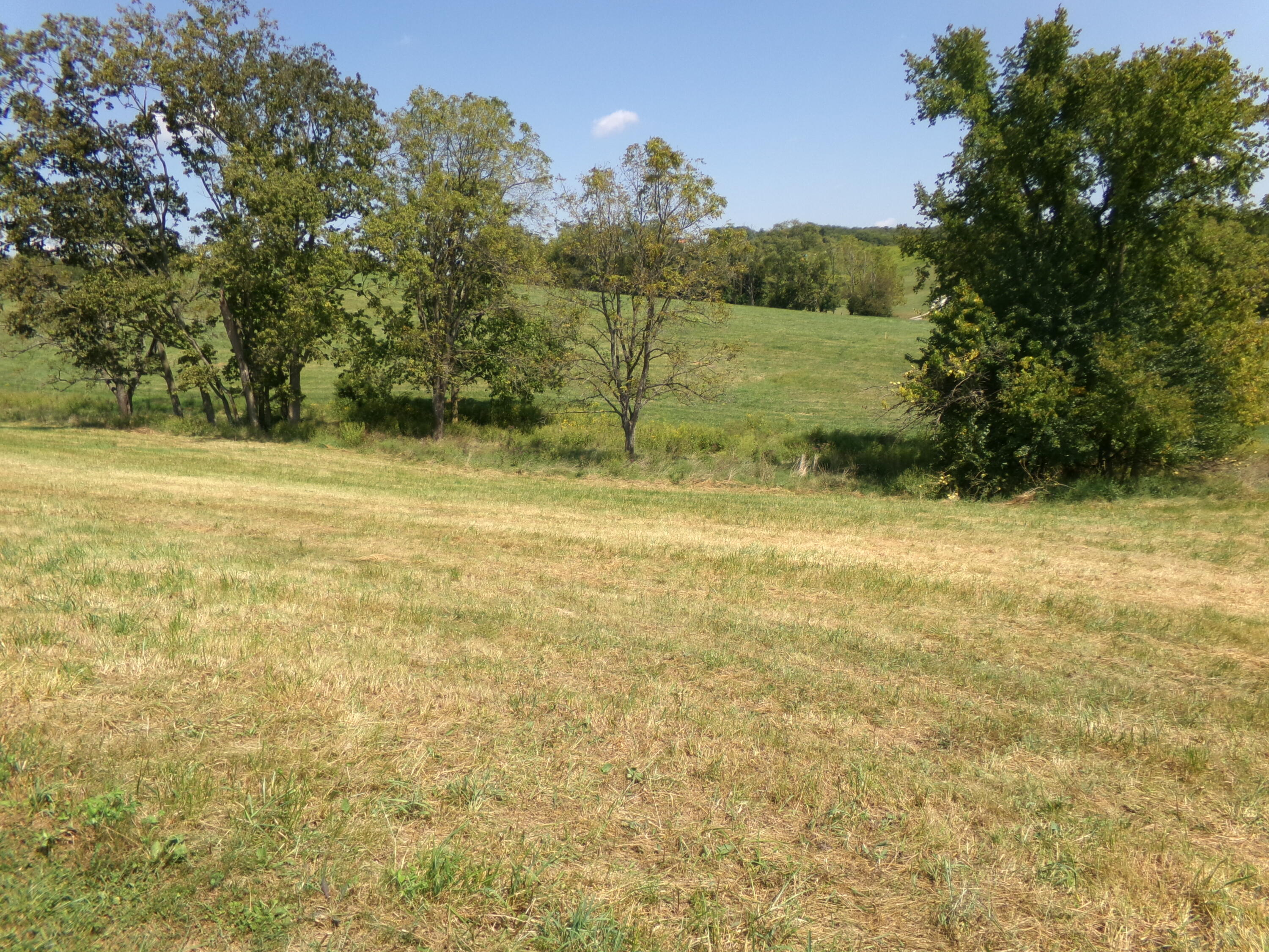 250-a Rockridge Road Property Photo 41