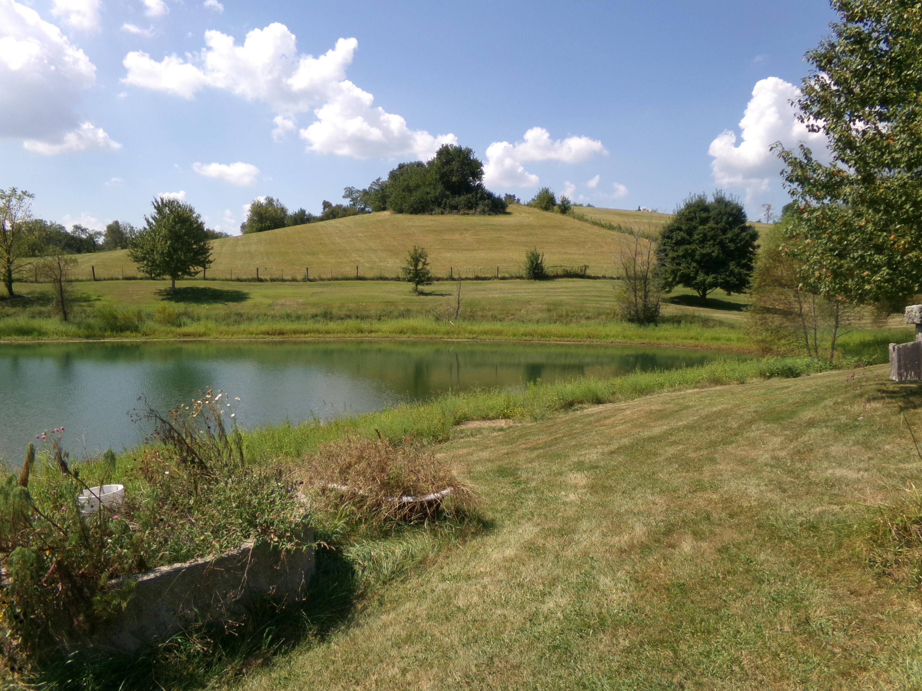 250-a Rockridge Road Property Photo 45