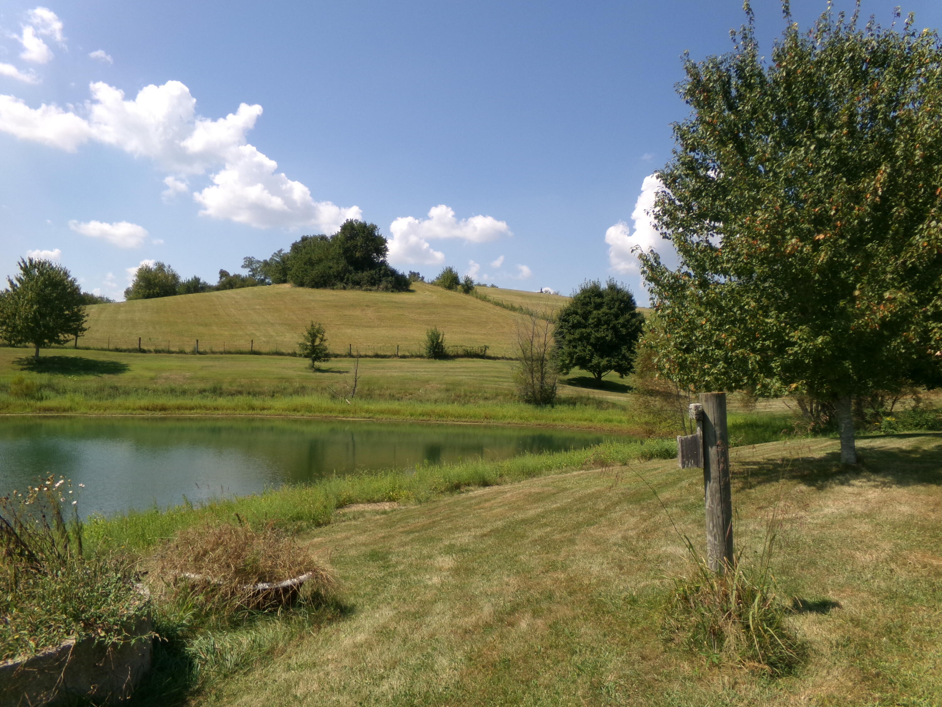 250-a Rockridge Road Property Photo 46