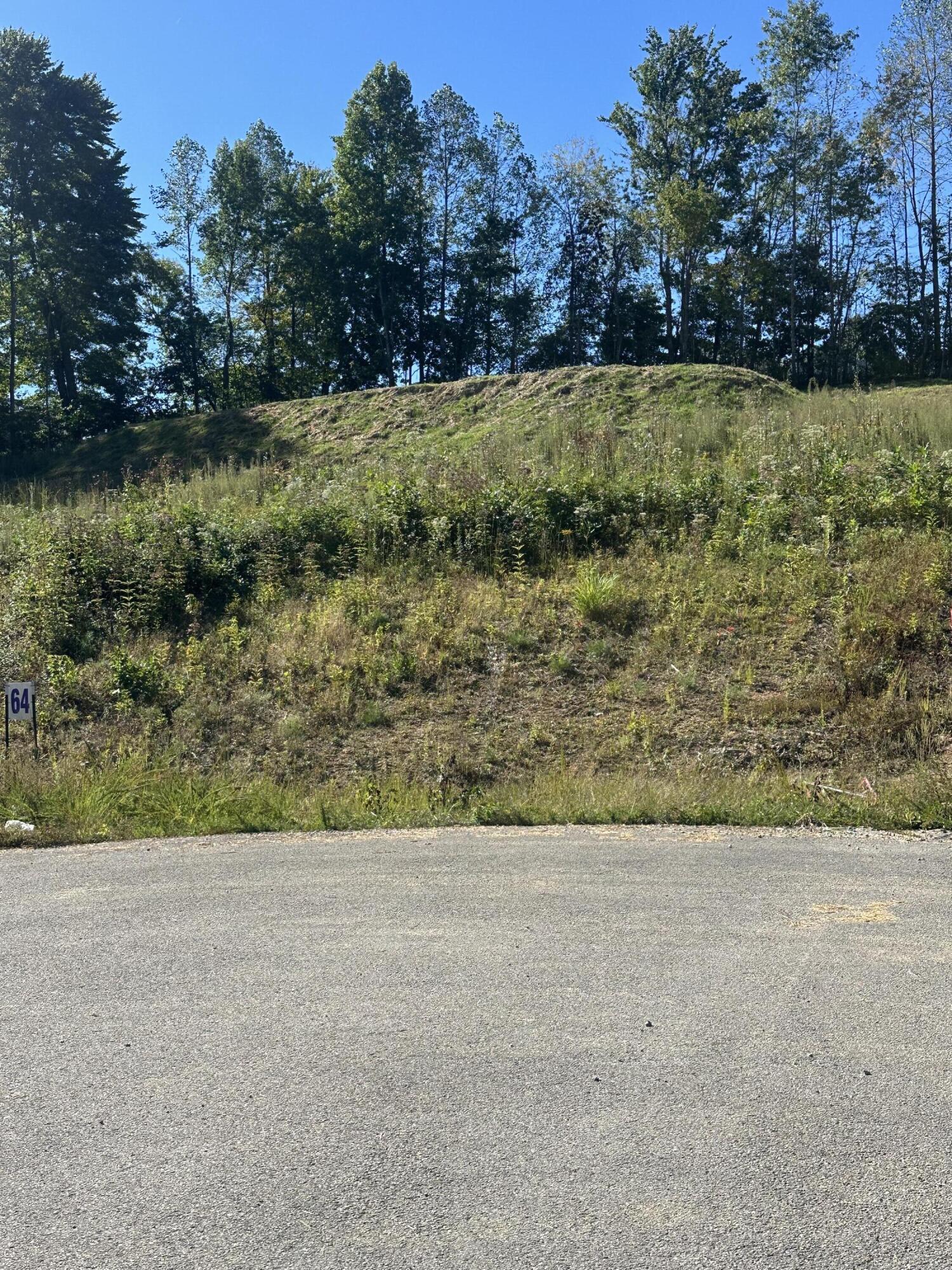 420 Hollywood Drive Lot 63-64 Property Photo 2
