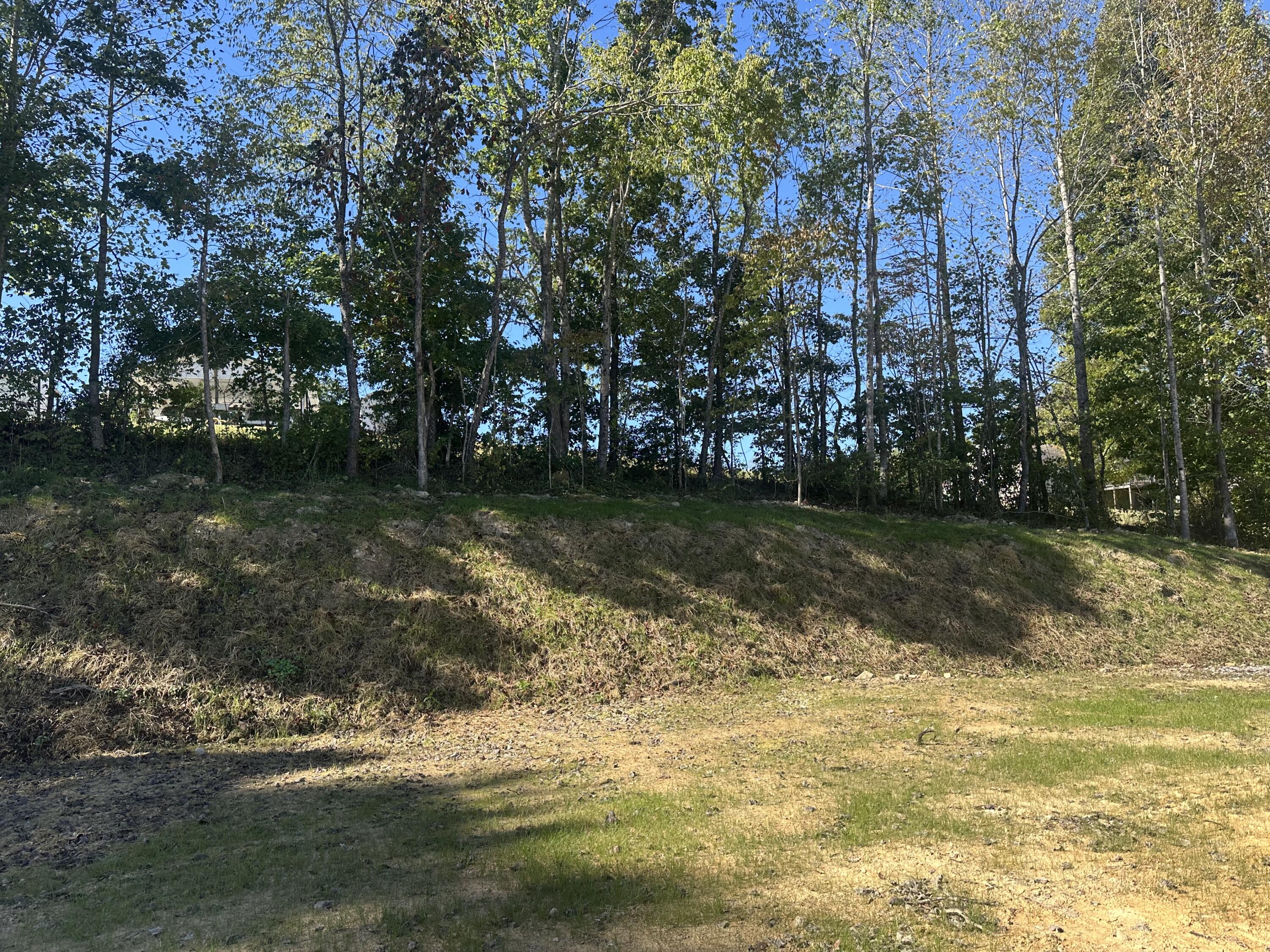420 Hollywood Drive Lot 63-64 Property Photo 4