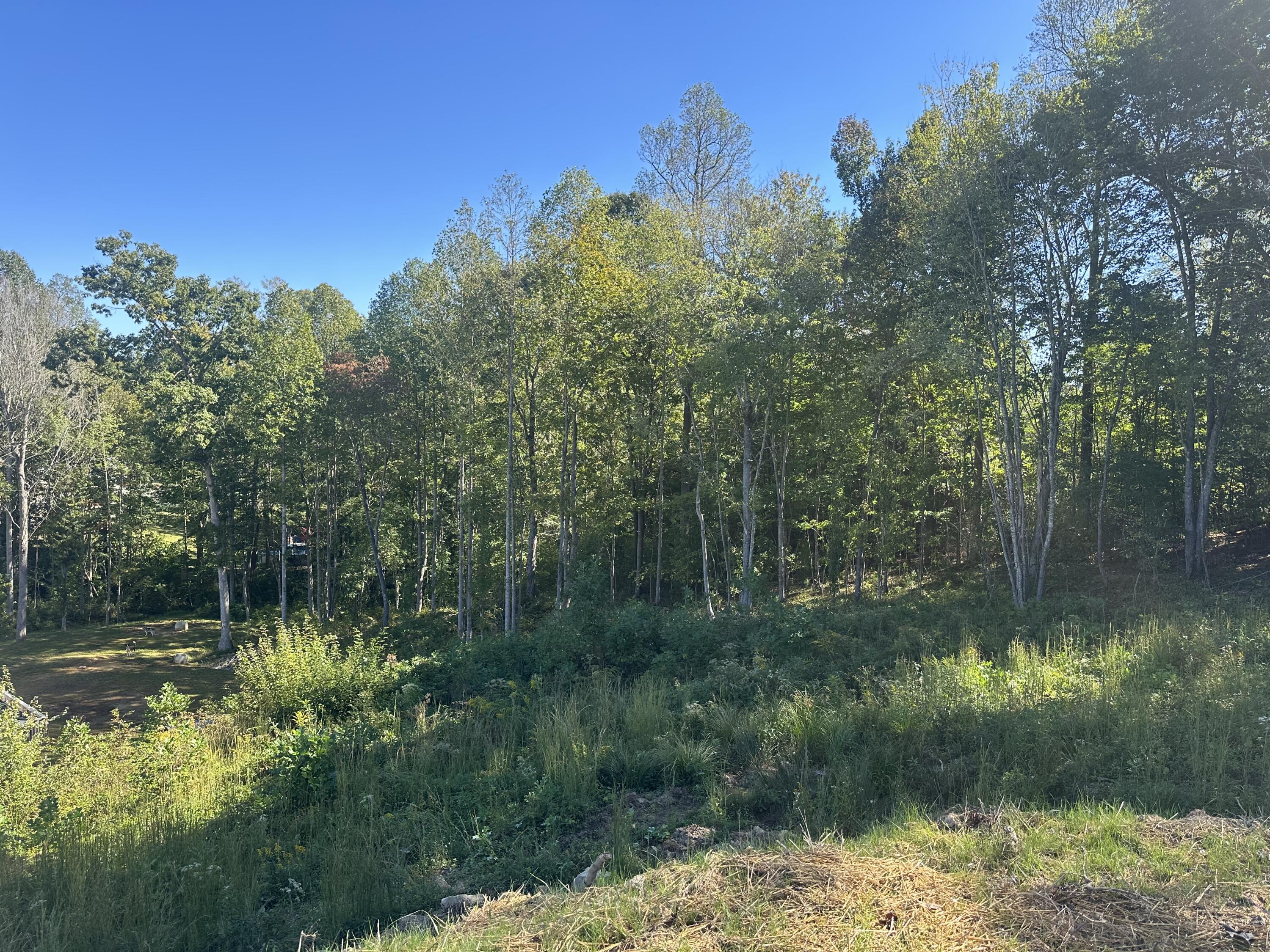 420 Hollywood Drive Lot 63-64 Property Photo 9