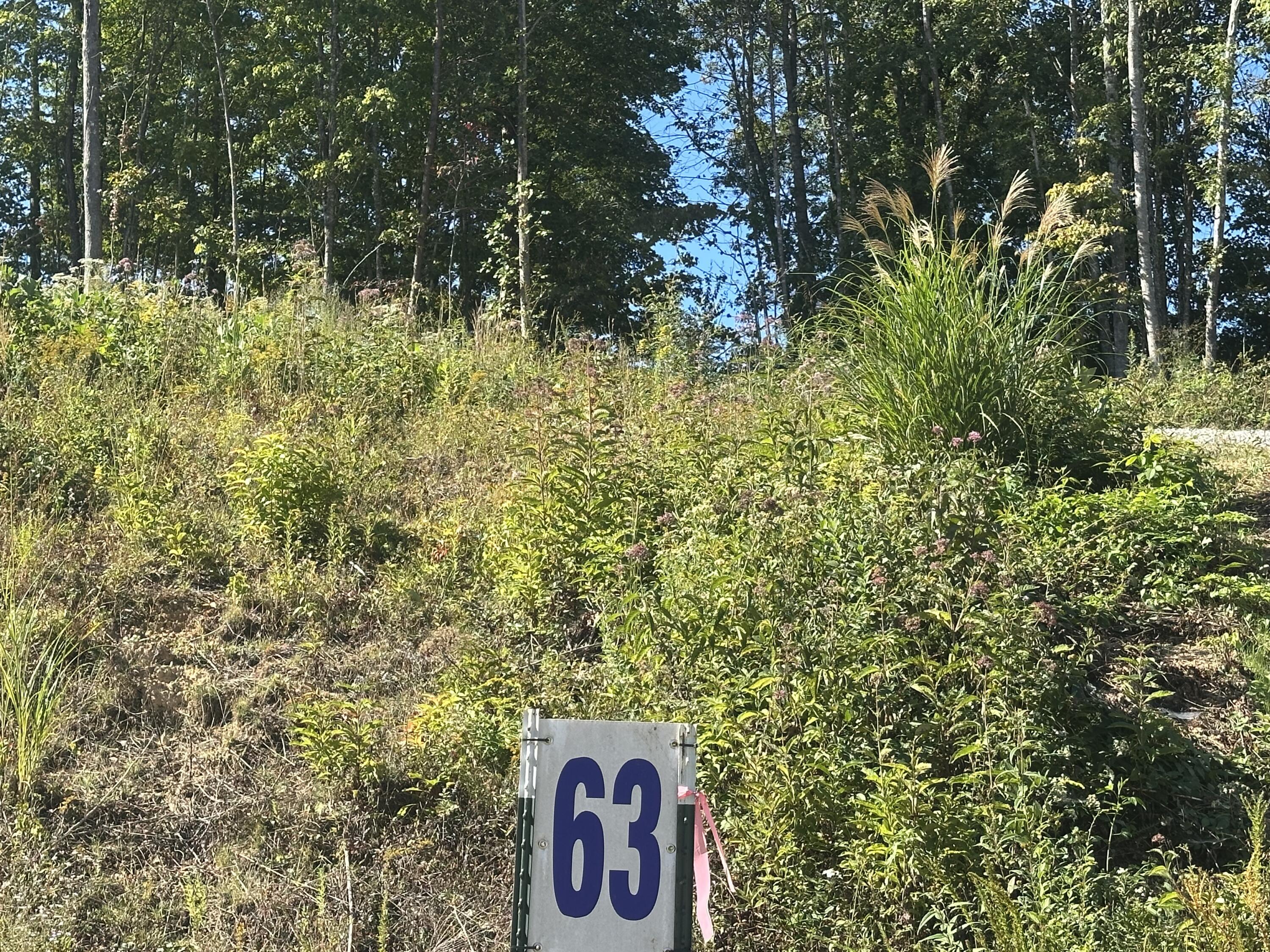 420 Hollywood Drive Lot 63-64 Property Photo 10
