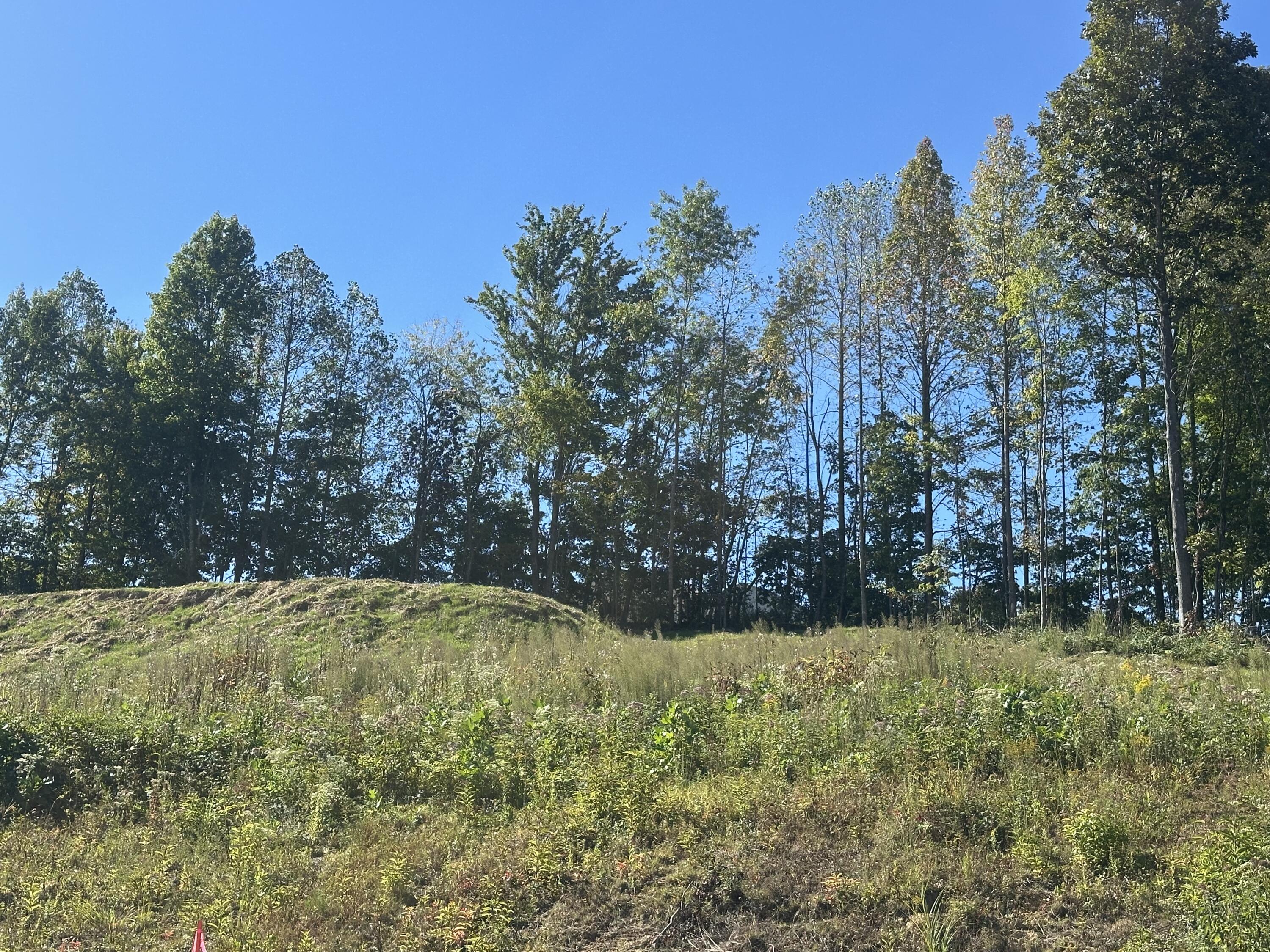 420 Hollywood Drive Lot 63-64 Property Photo 11