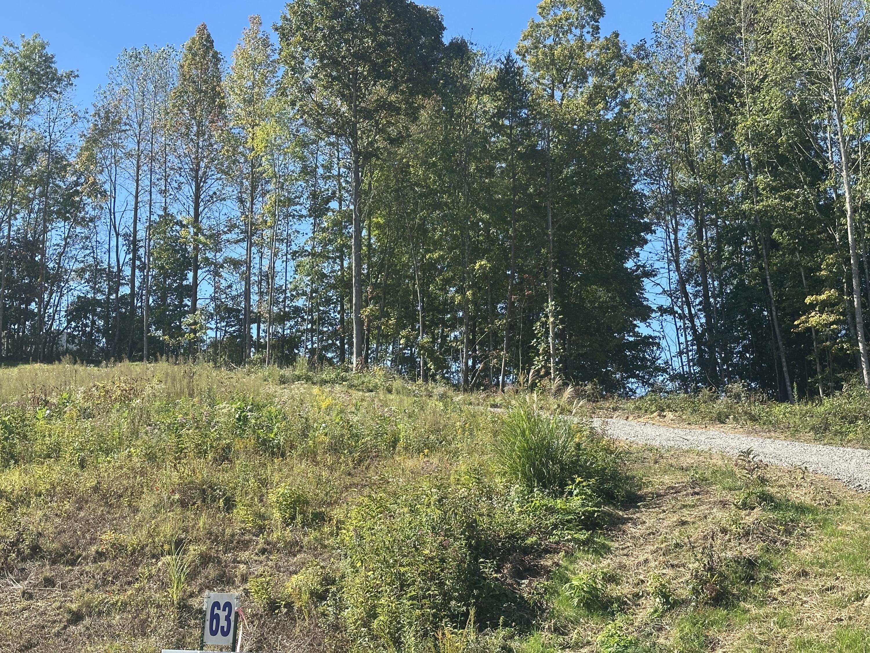 420 Hollywood Drive Lot 63-64 Property Photo 12