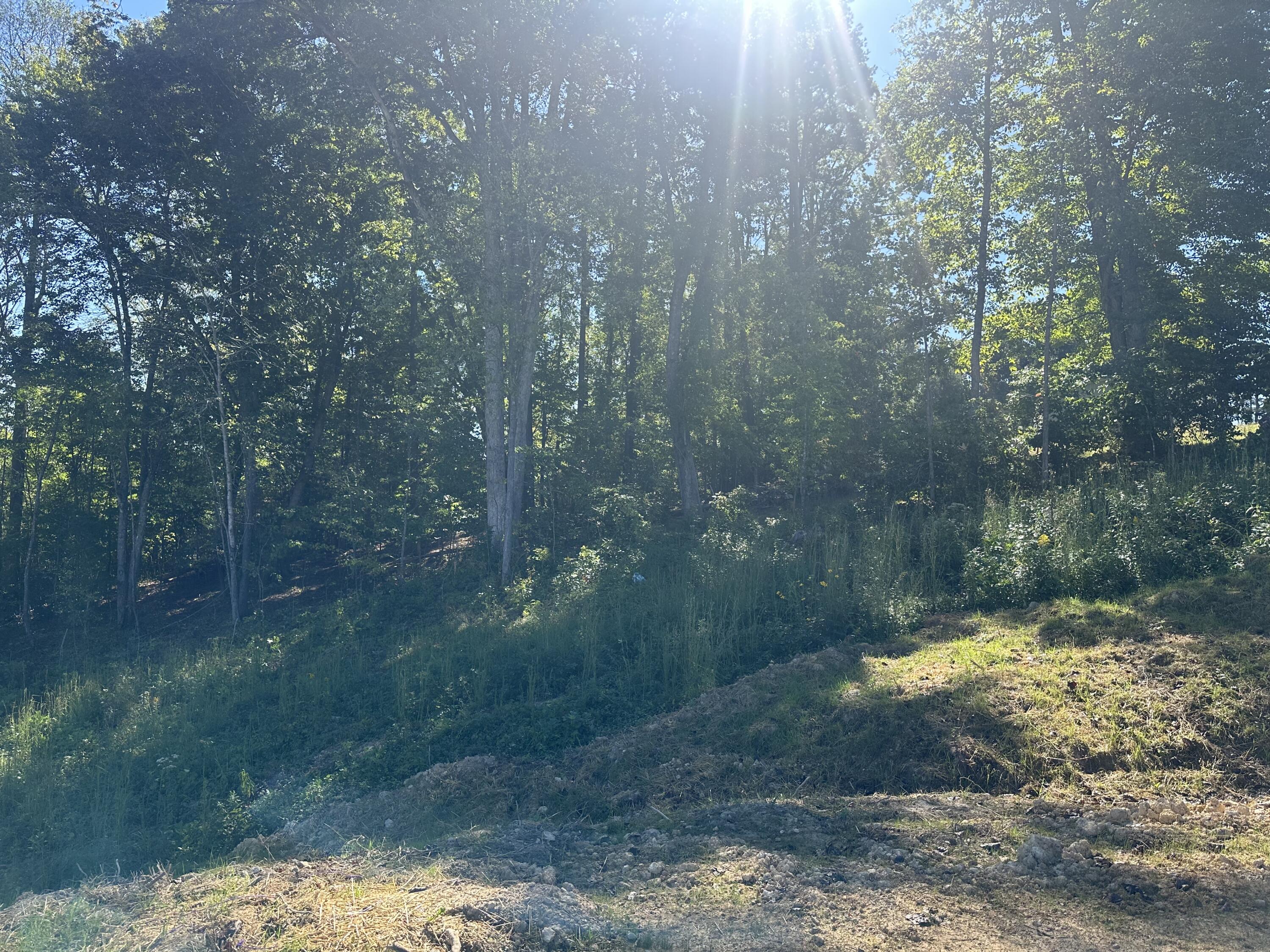 420 Hollywood Drive Lot 63-64 Property Photo 18