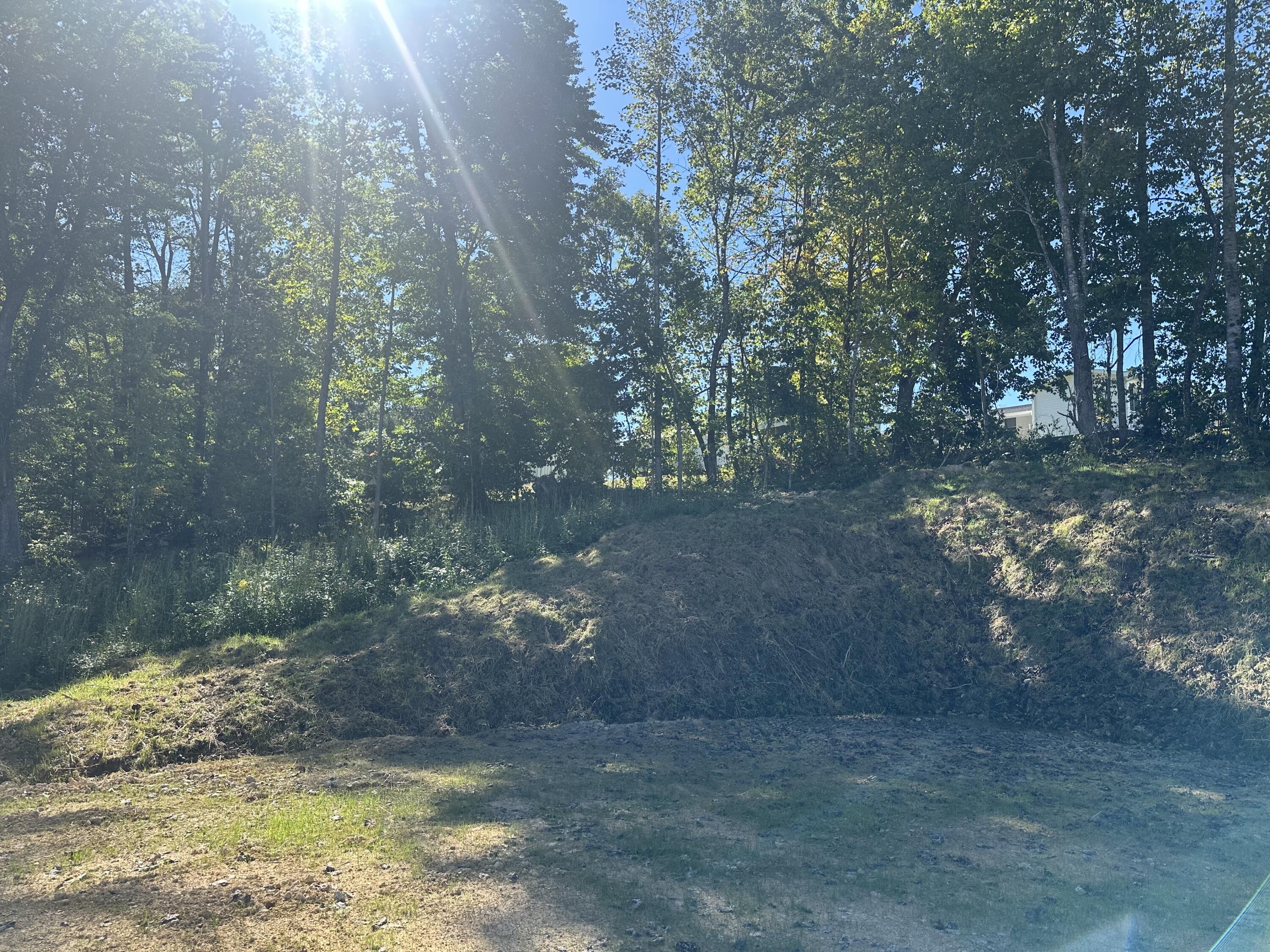 420 Hollywood Drive Lot 63-64 Property Photo 19
