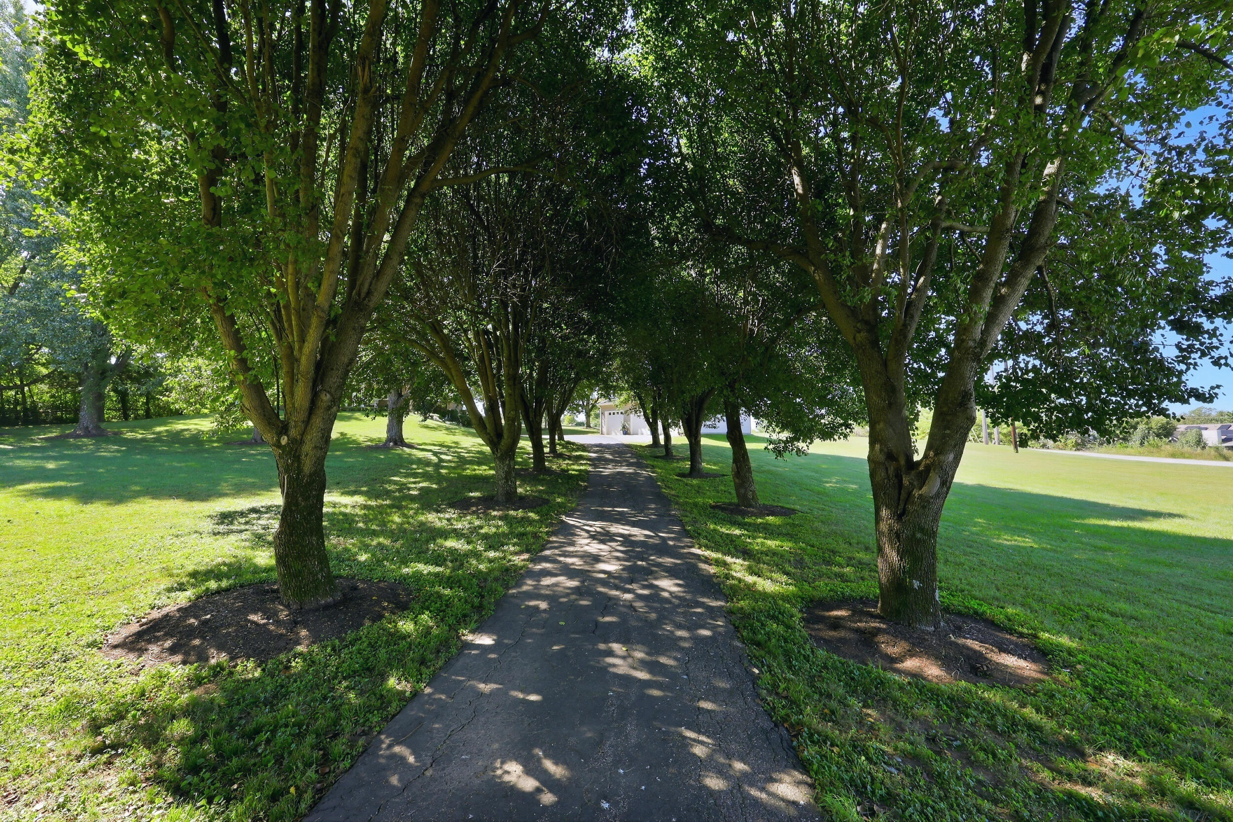 1302 Long Lick Pike Property Photo 83
