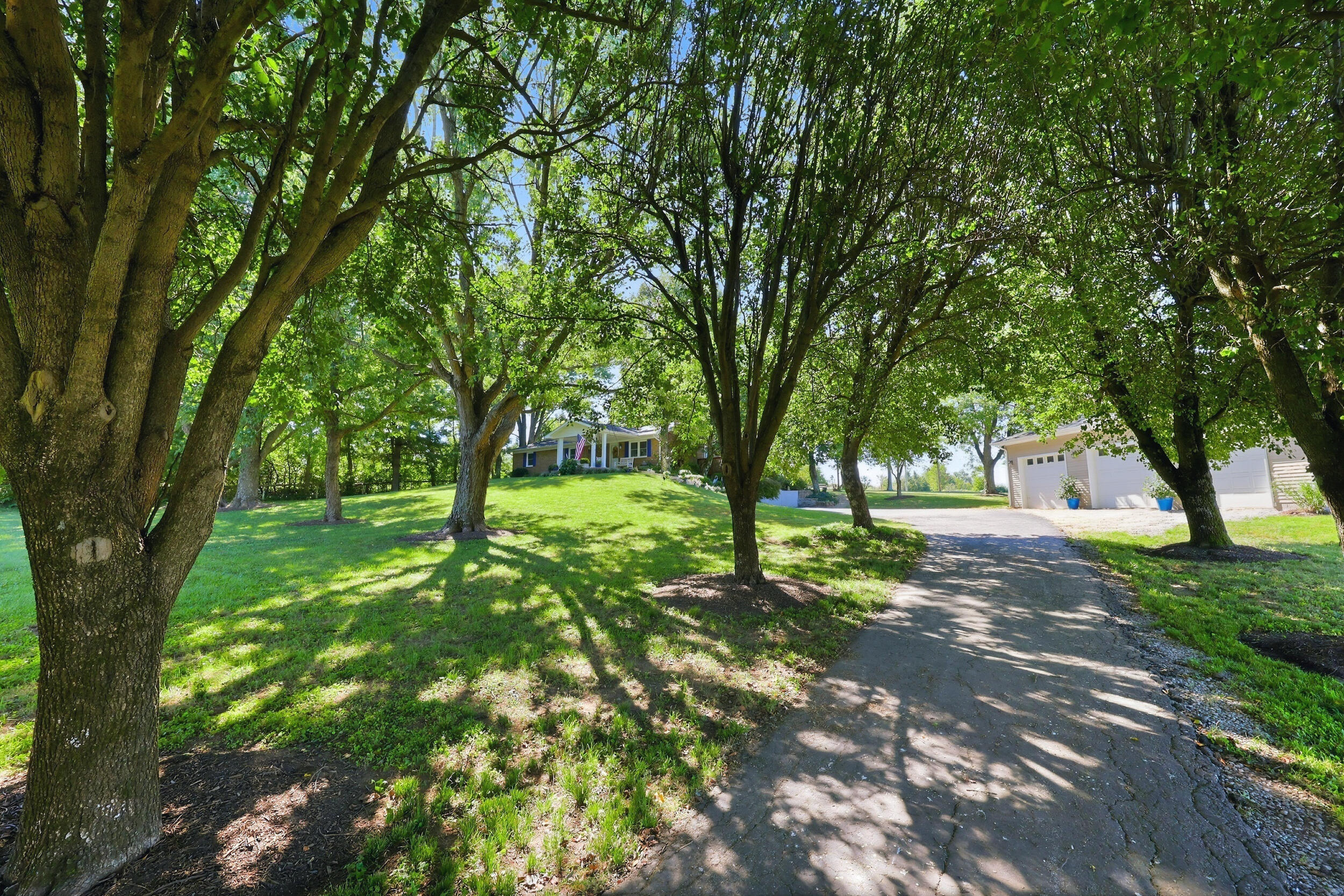 1302 Long Lick Pike Property Photo 84