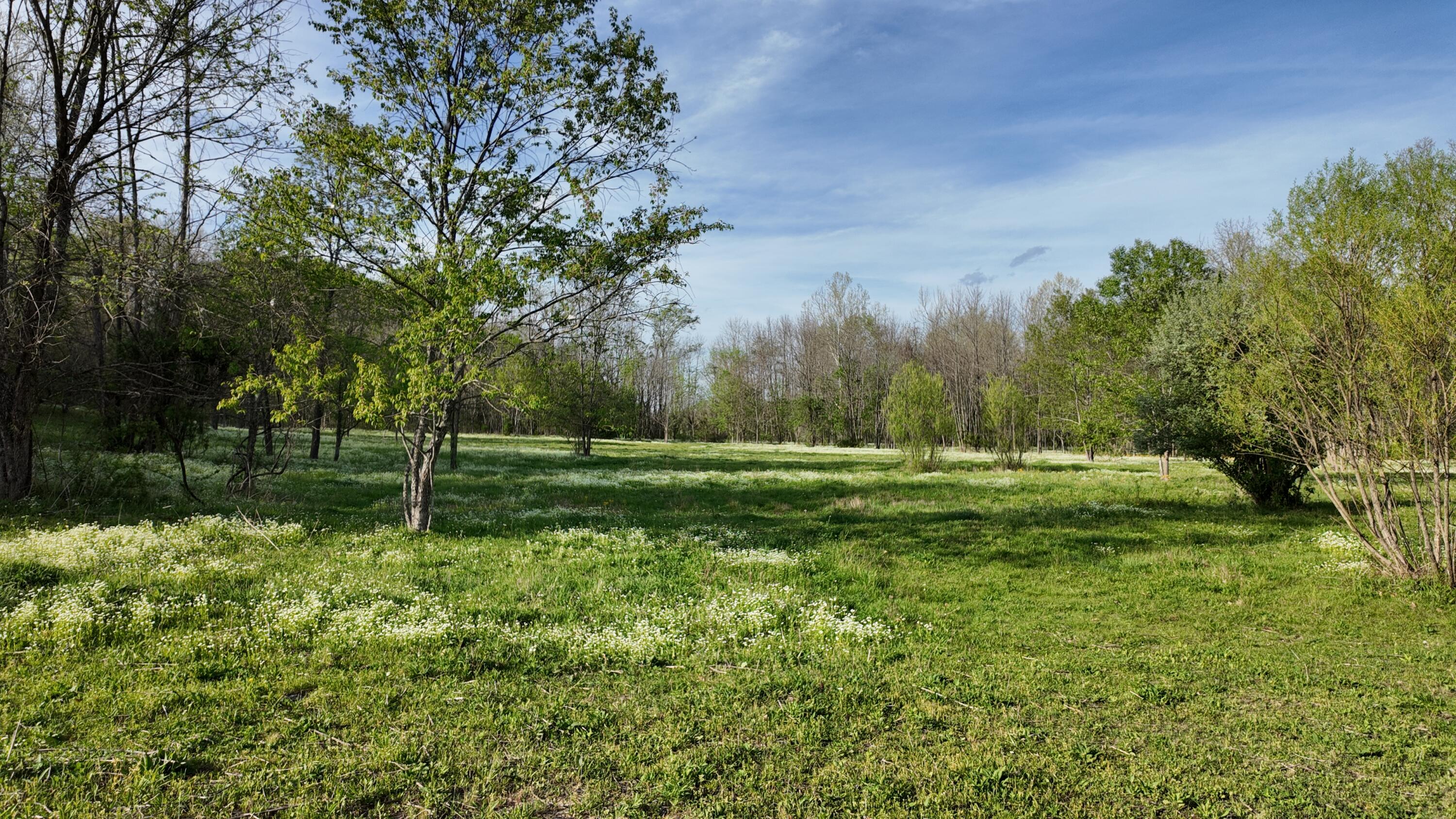 8586 Stulltown Road Property Photo 65