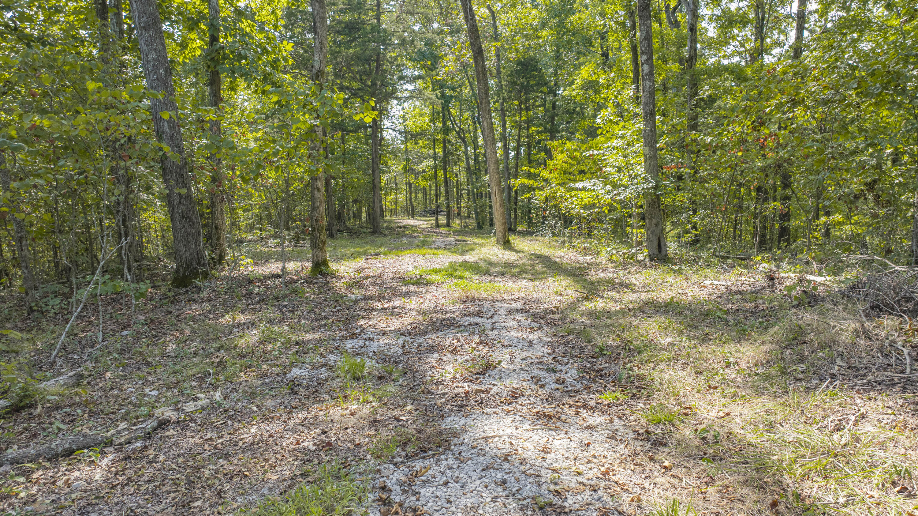 1694 Sandstone Point Trail Property Photo 9