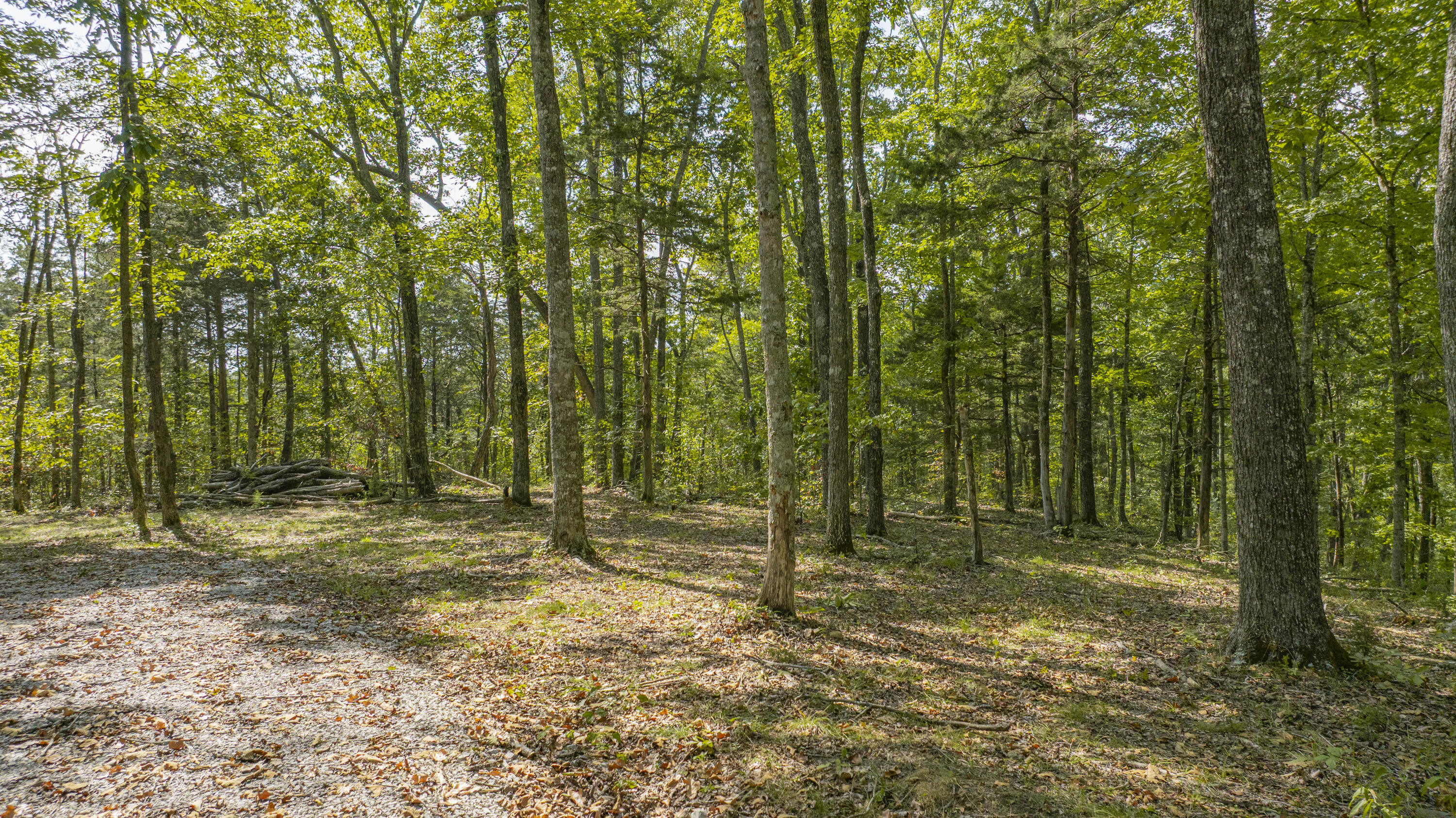1694 Sandstone Point Trail Property Photo 10