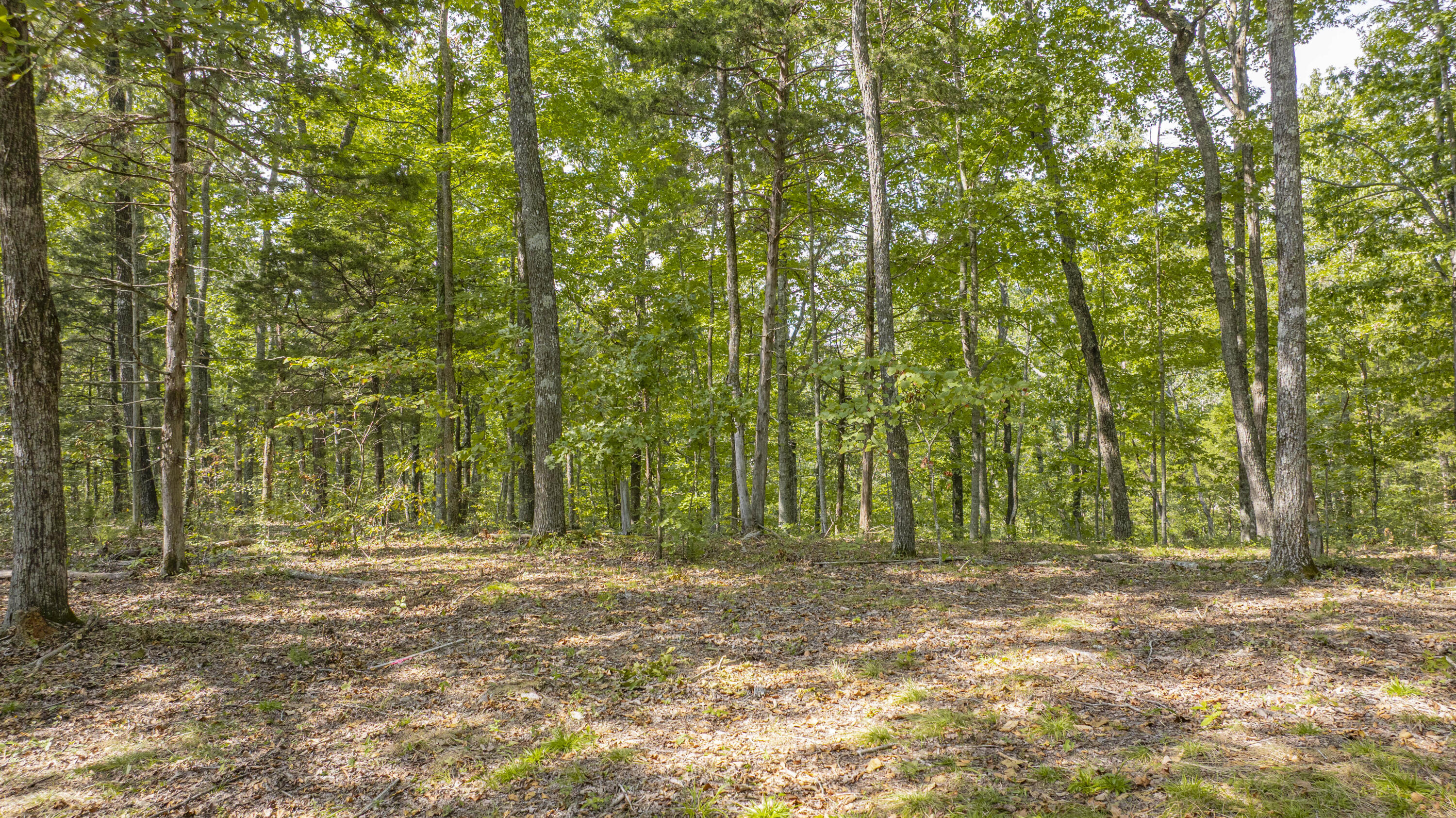 1694 Sandstone Point Trail Property Photo 11