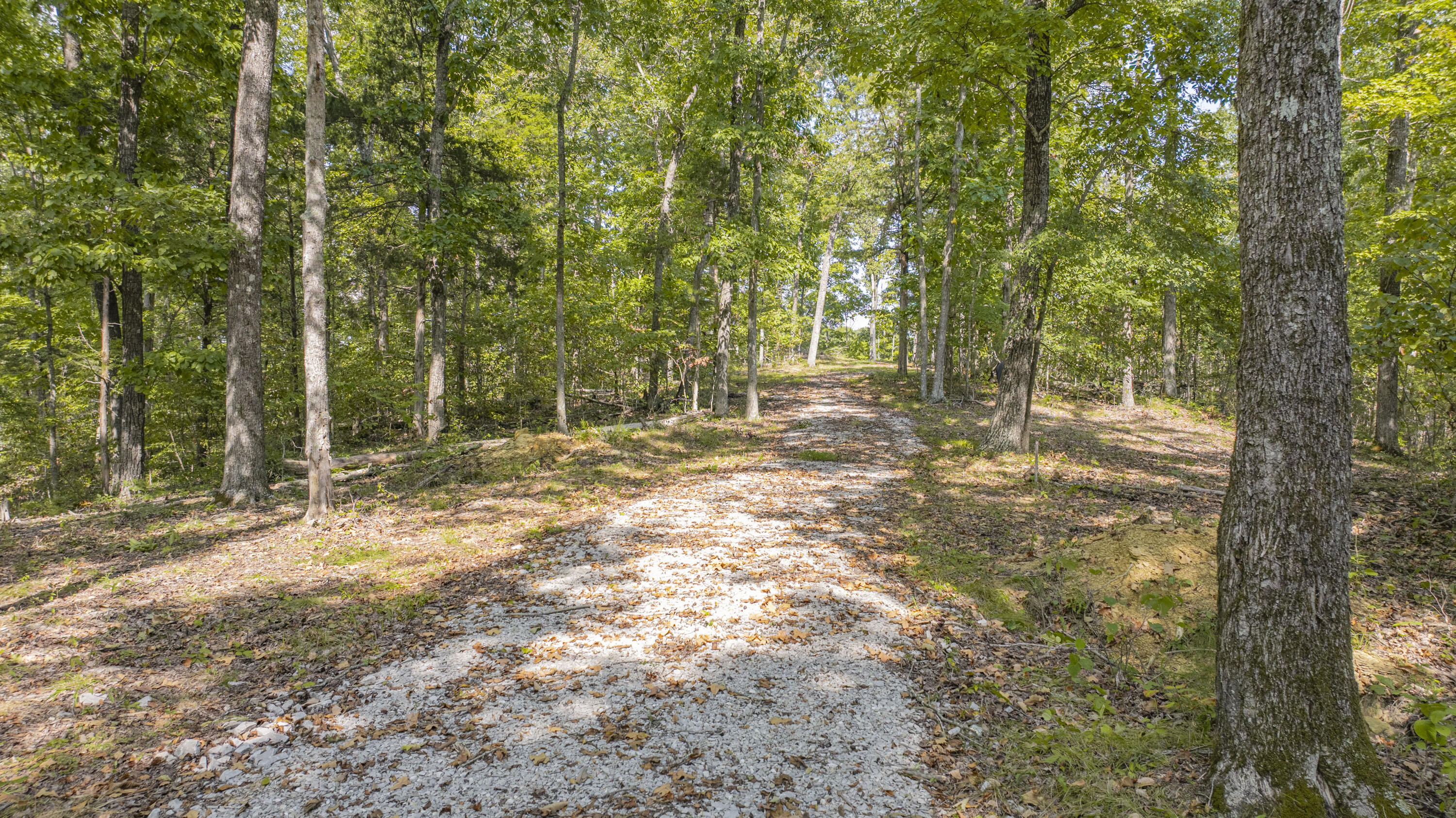 1694 Sandstone Point Trail Property Photo 12