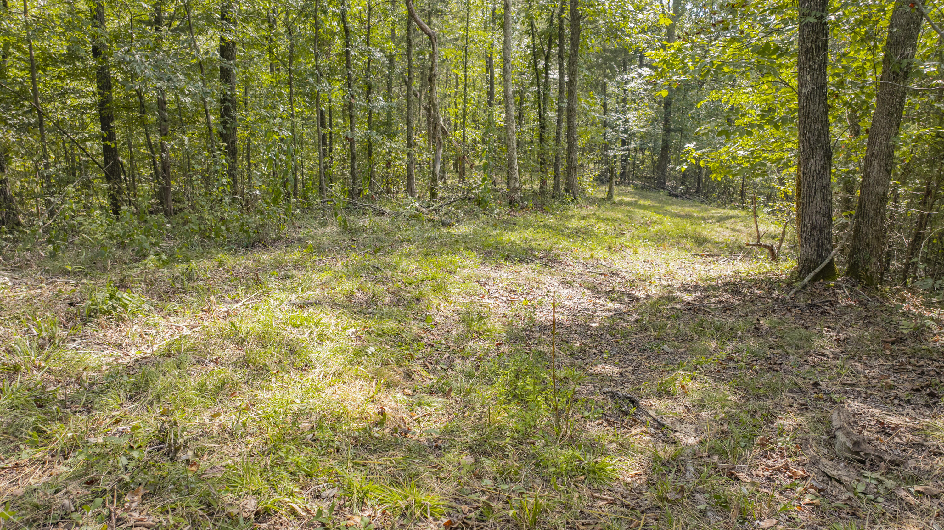 1694 Sandstone Point Trail Property Photo 13