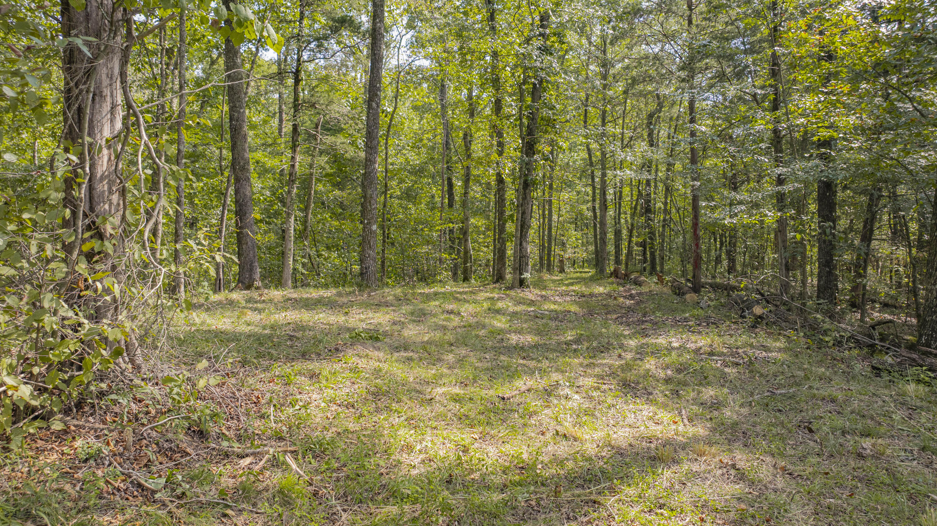 1694 Sandstone Point Trail Property Photo 14