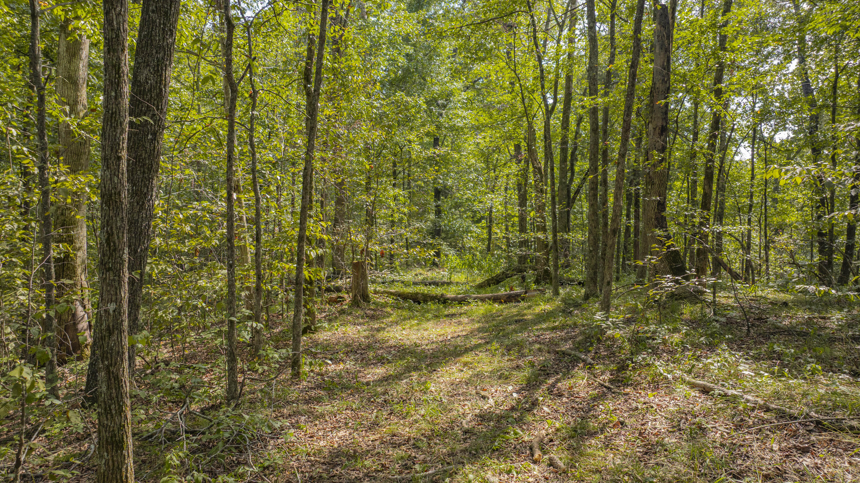 1694 Sandstone Point Trail Property Photo 15