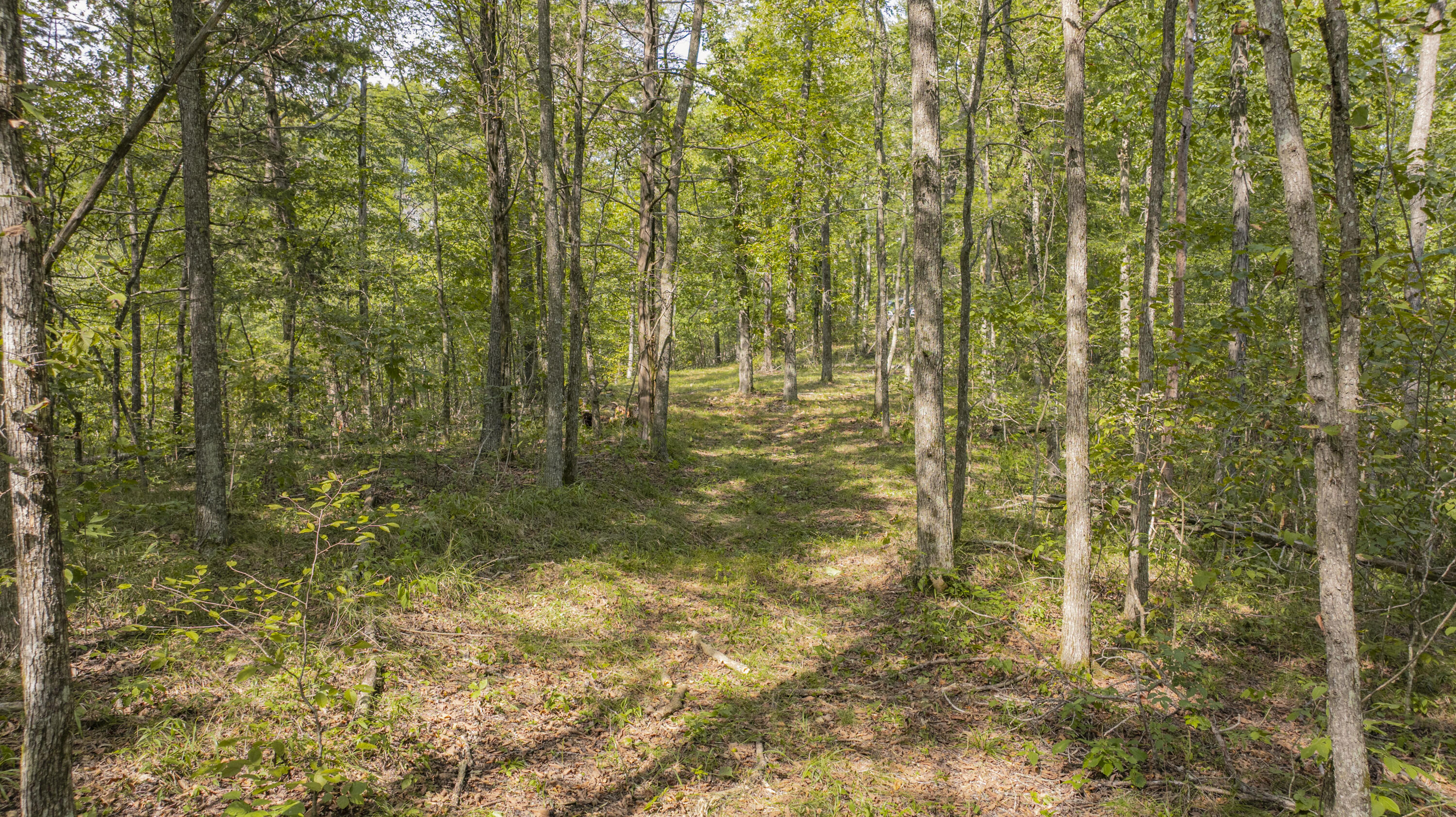1694 Sandstone Point Trail Property Photo 16