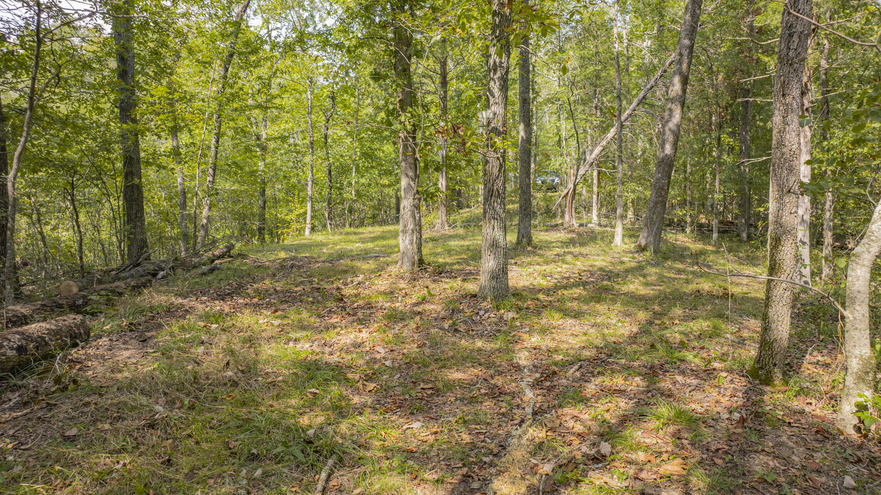 1694 Sandstone Point Trail Property Photo 17