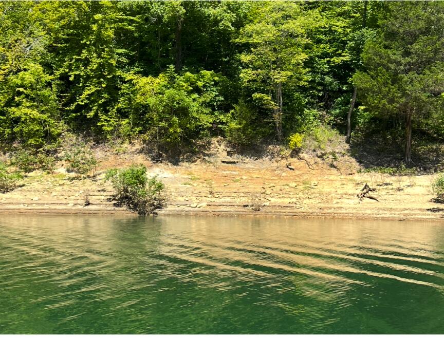 1694 Sandstone Point Trail Property Photo 24