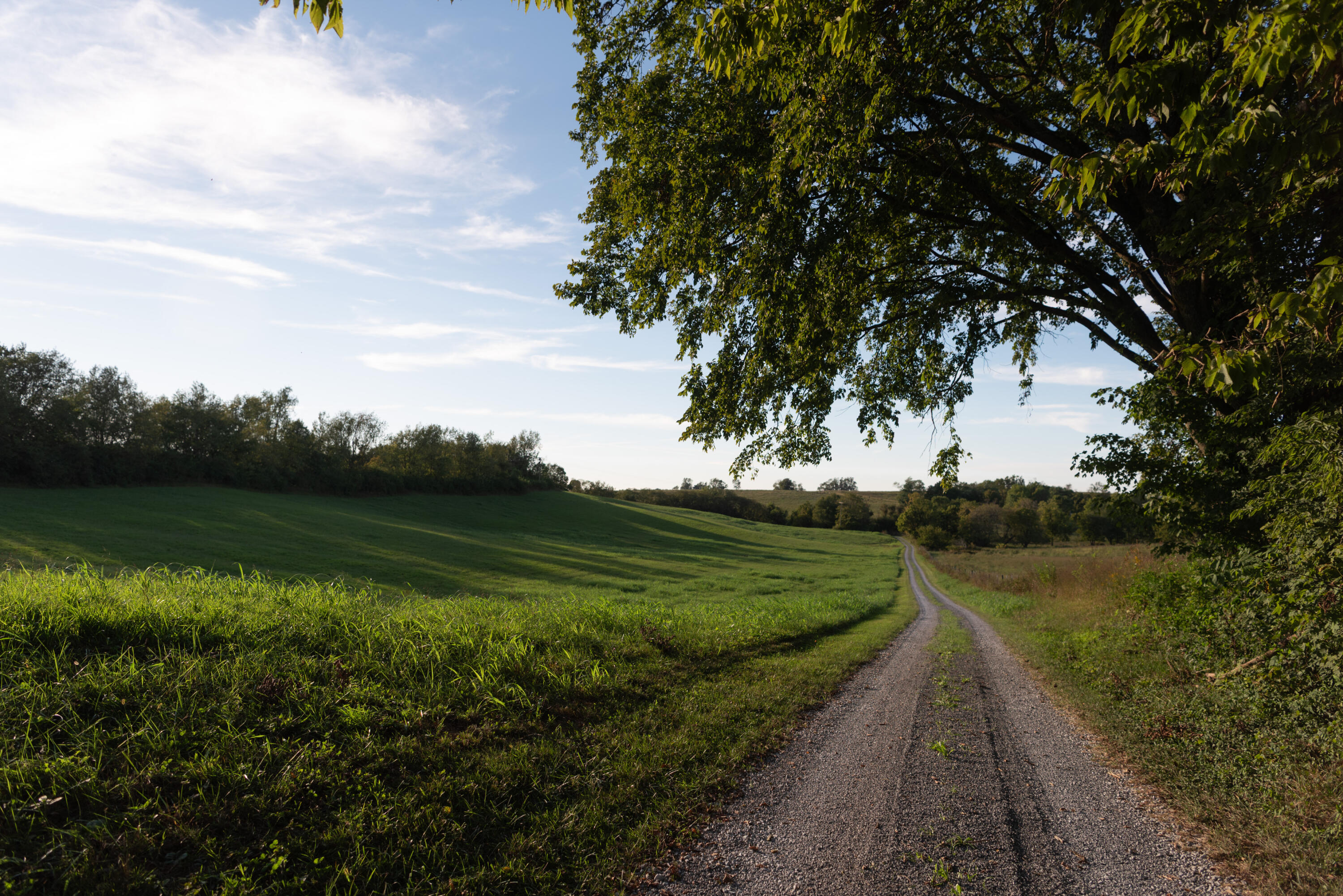 2479 Airport Road Property Photo 72