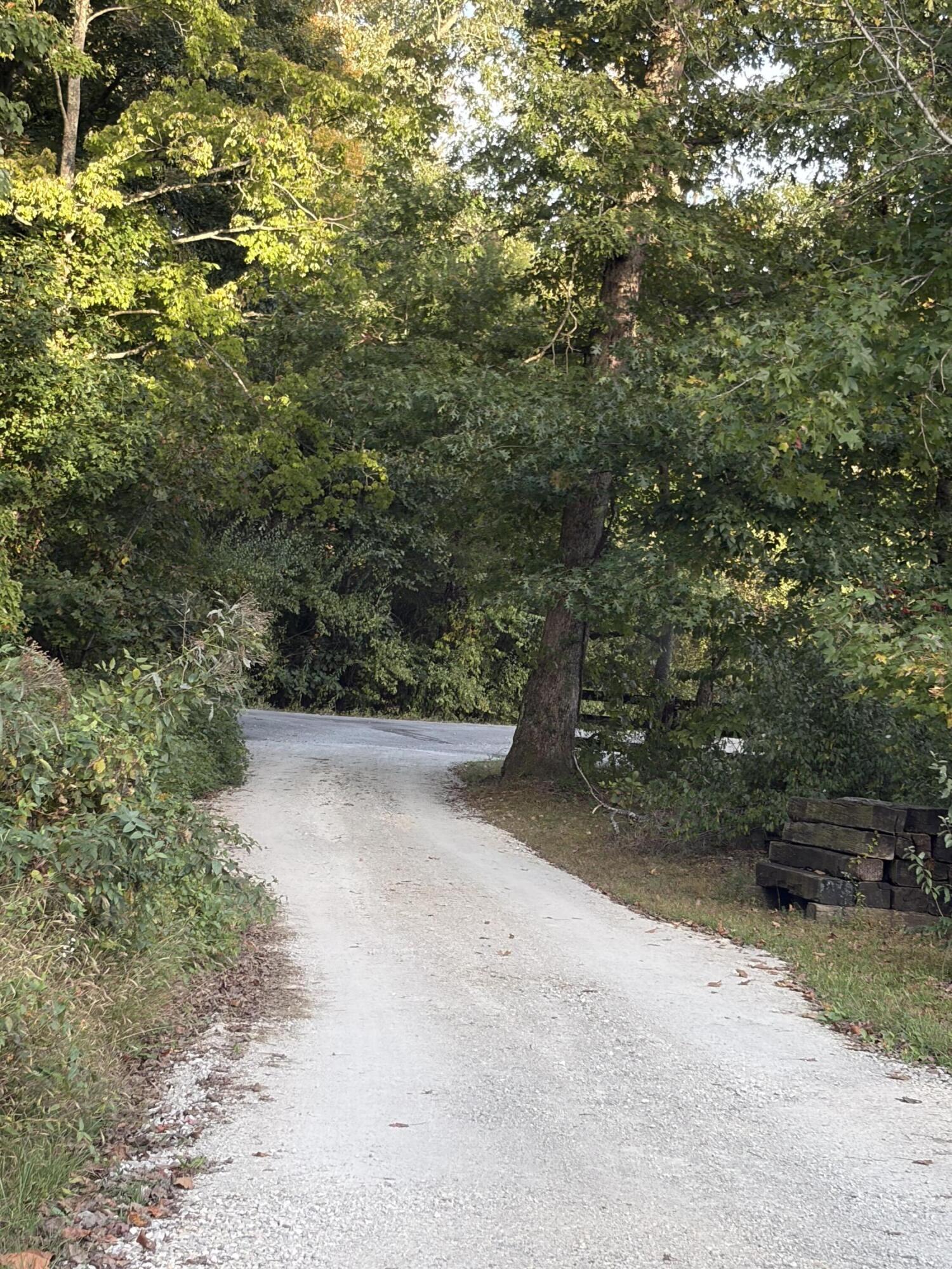 133 Treebrook Property Photo 19