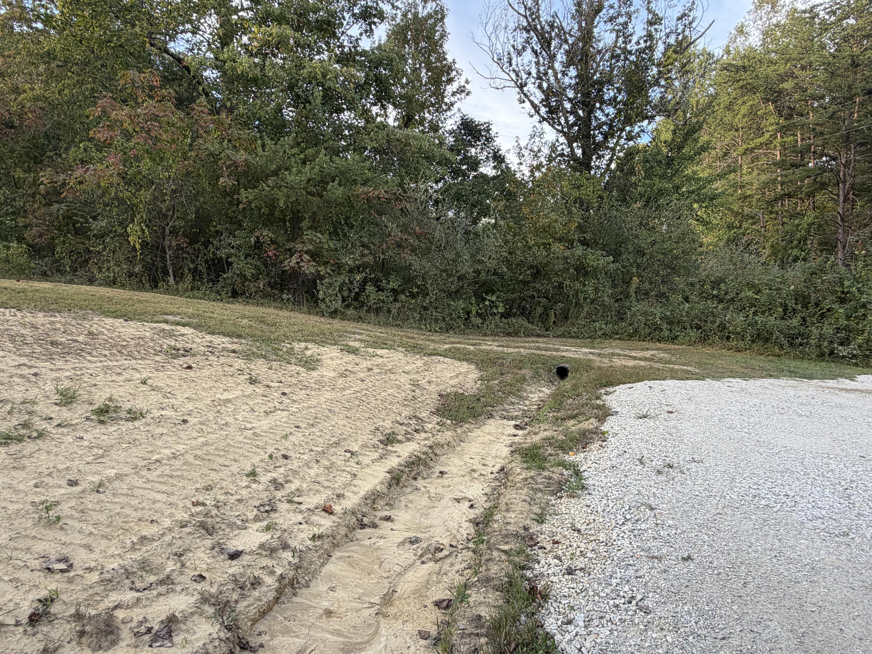 133 Treebrook Property Photo 22