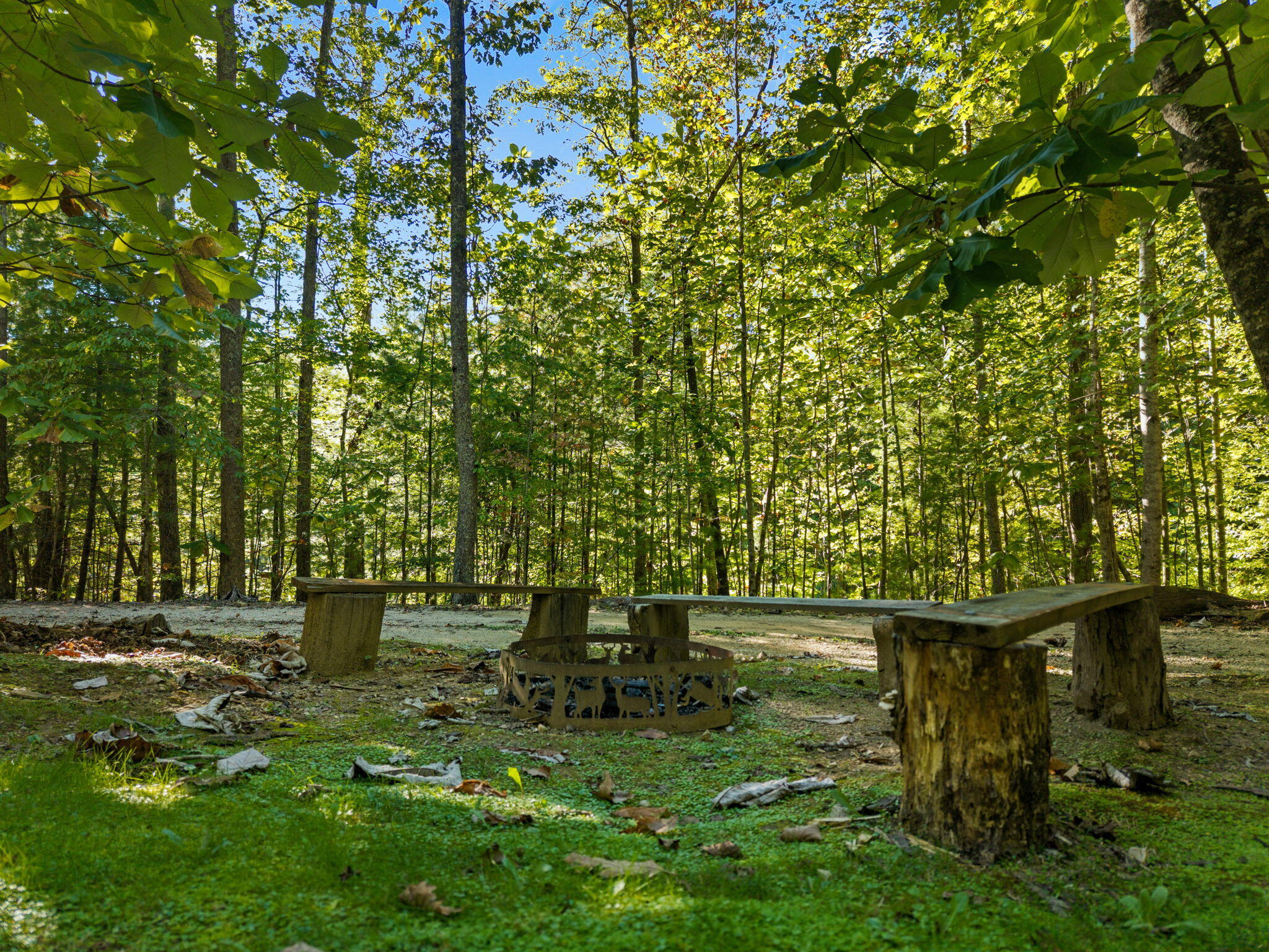 637 Eagle Ridge Road Property Photo 8