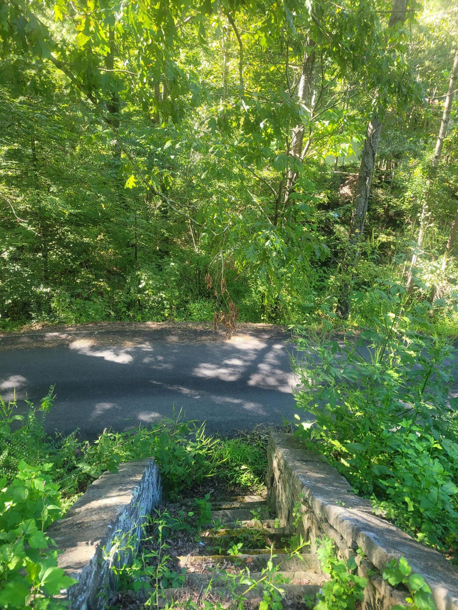 573 Hurricane Creek Road Property Photo 4