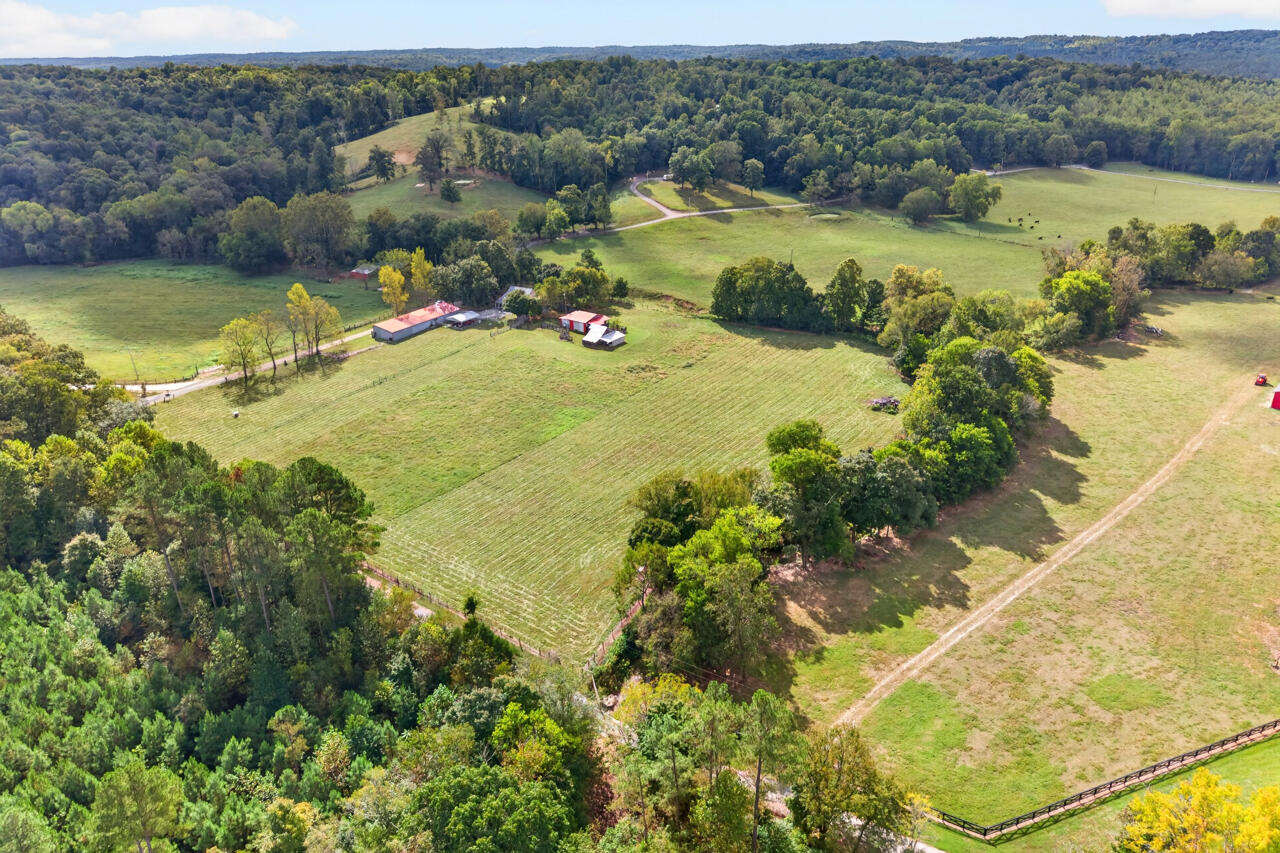 749 Mcnichols Road Property Photo 2