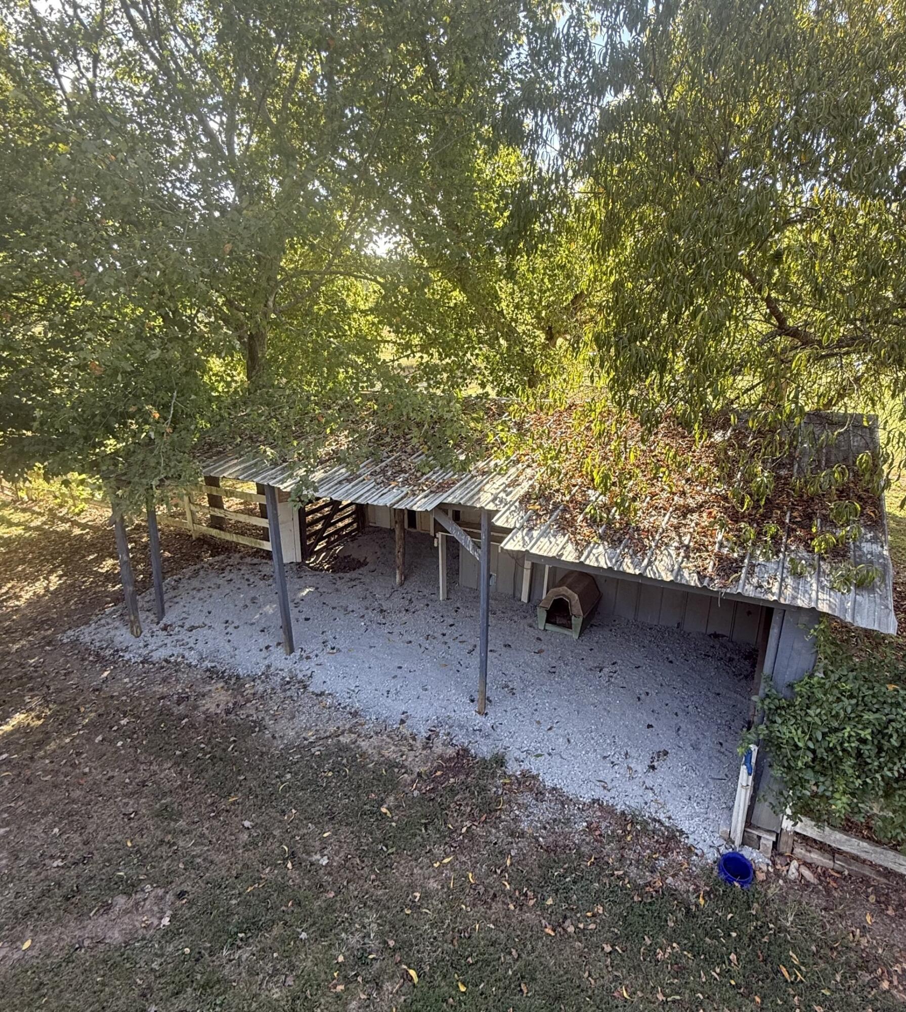 749 Mcnichols Road Property Photo 11