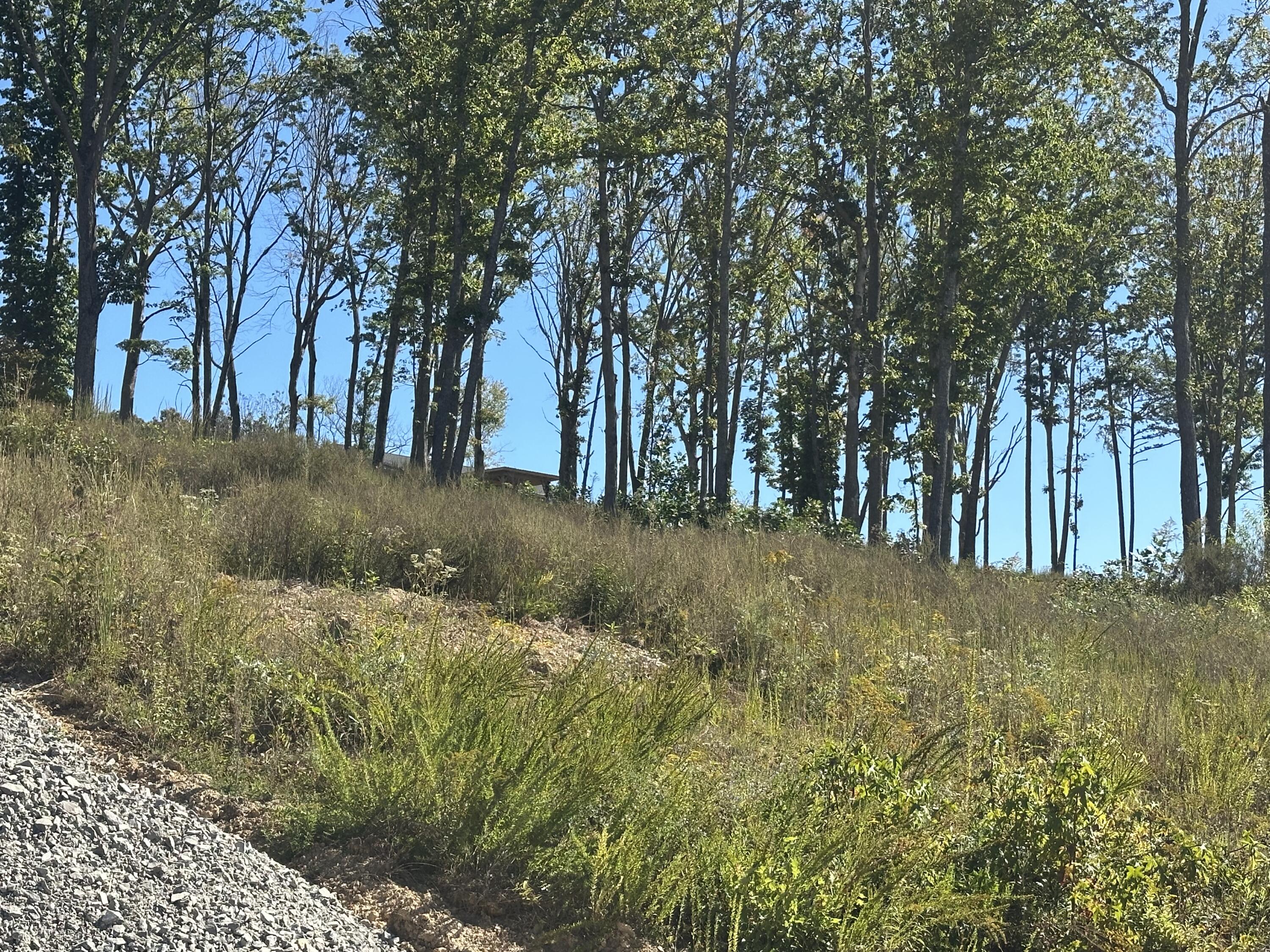 166 Malibu Drive Lot 39 Property Photo 7