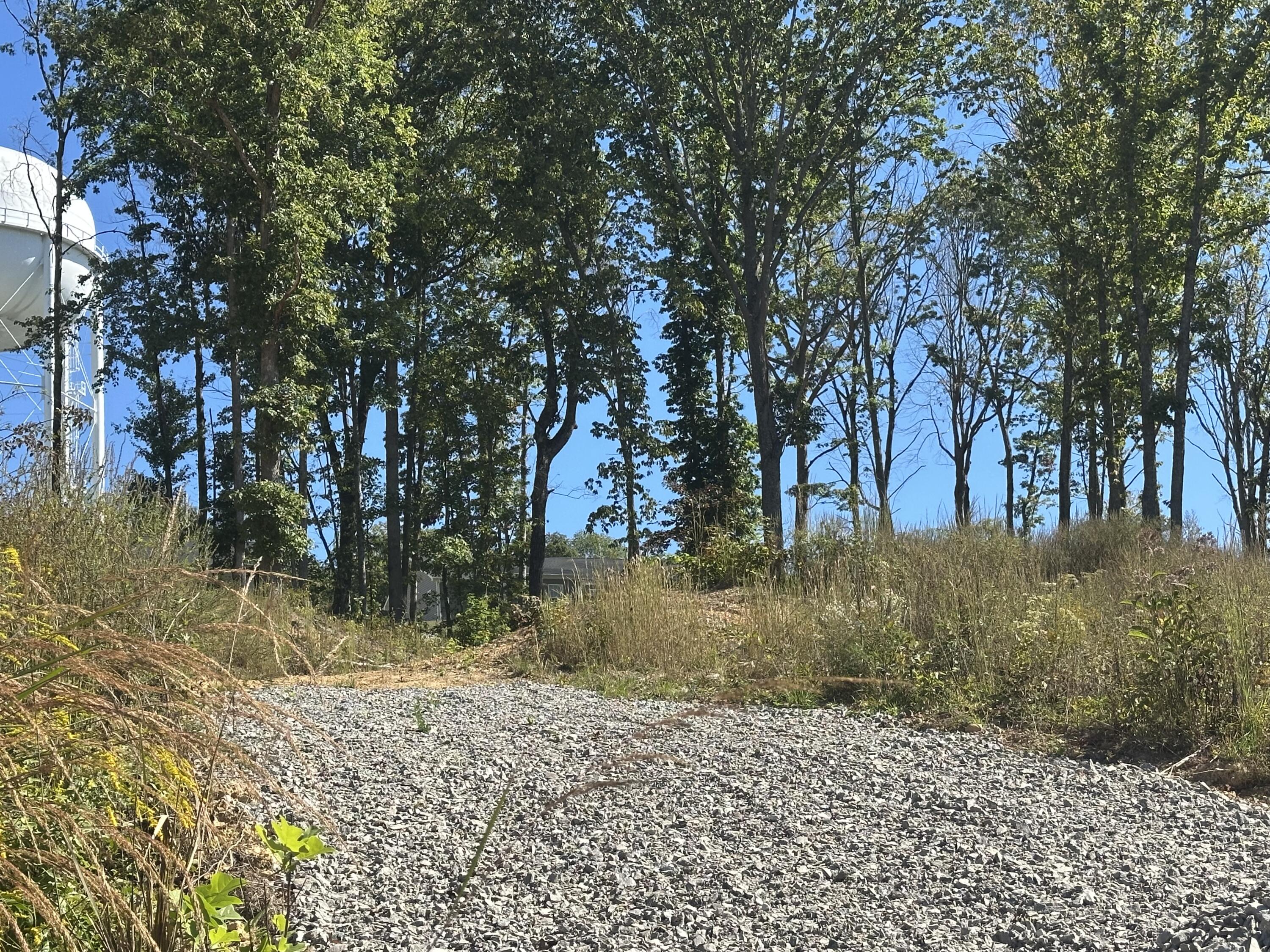166 Malibu Drive Lot 39 Property Photo 9