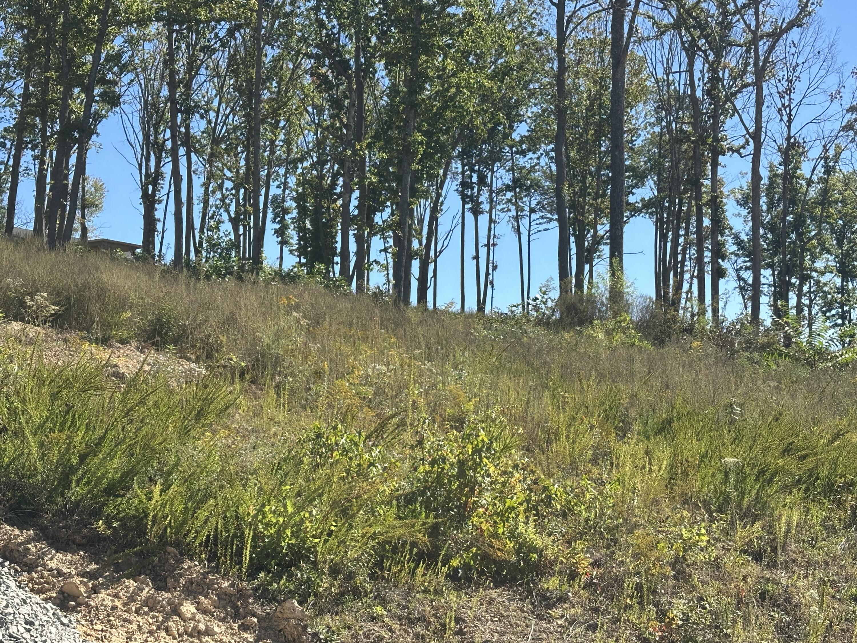 166 Malibu Drive Lot 39 Property Photo 10