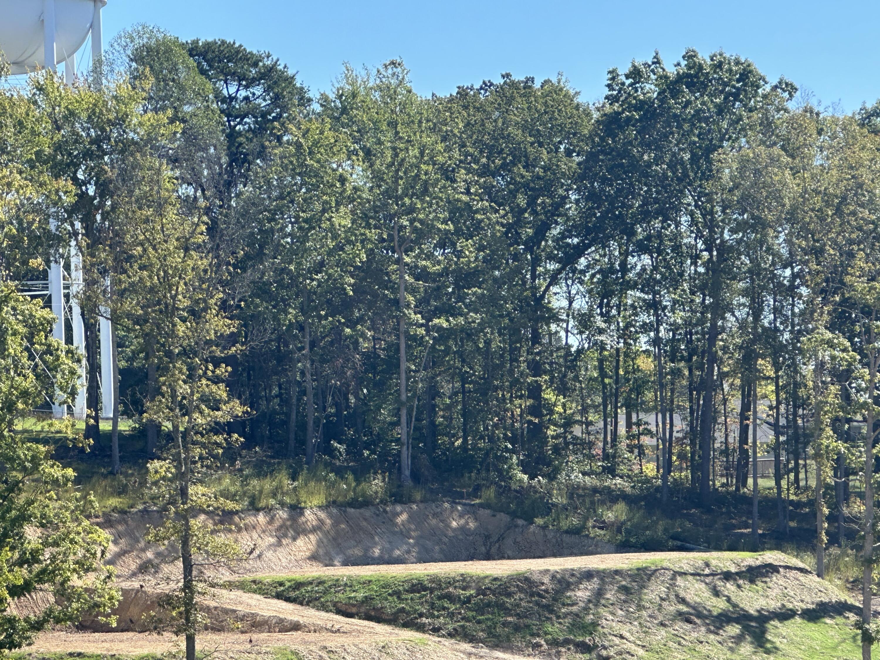 244 Malibu Drive Lot 43 Property Photo 10