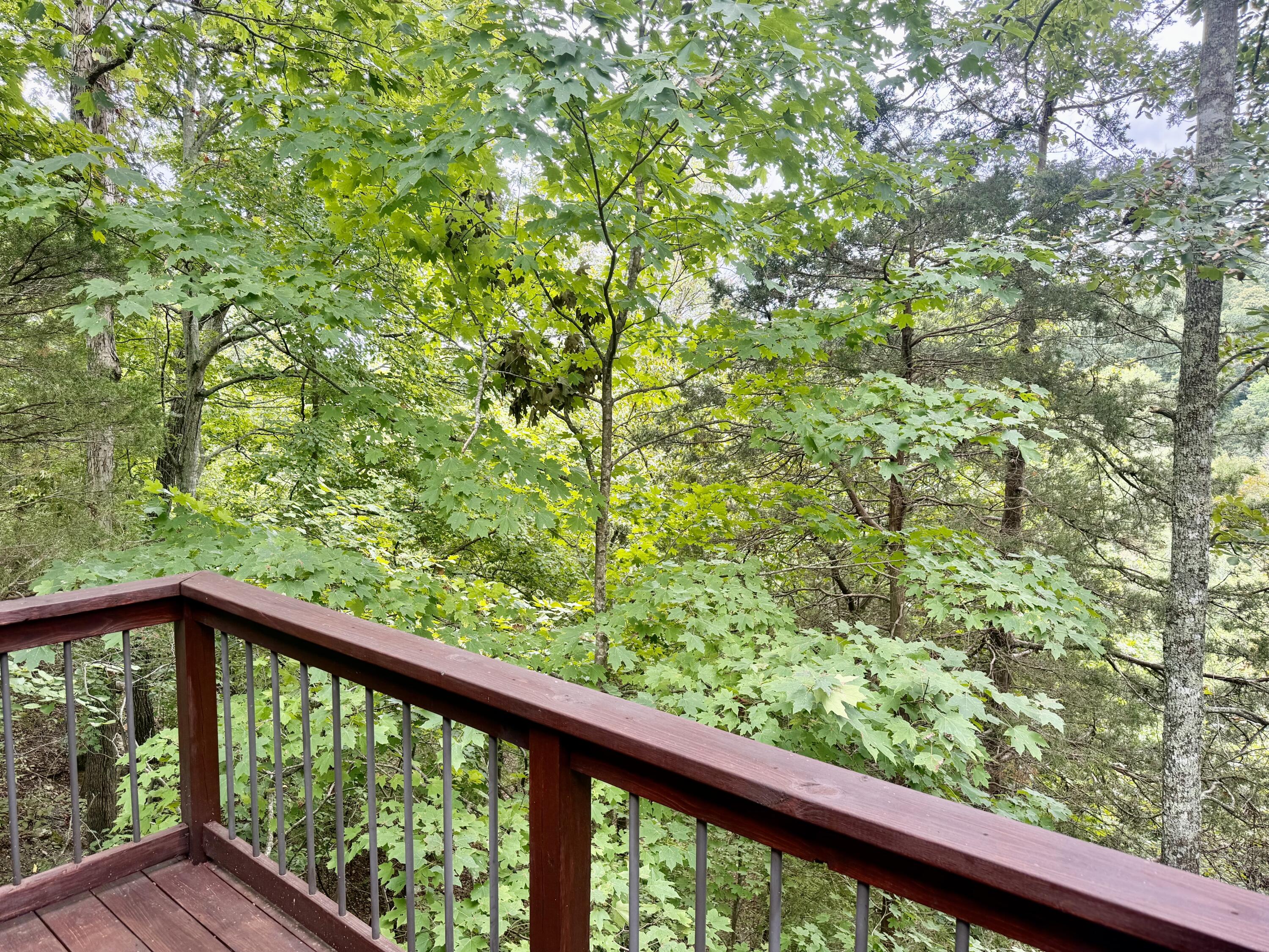 111 Cabin Drive Property Photo 33