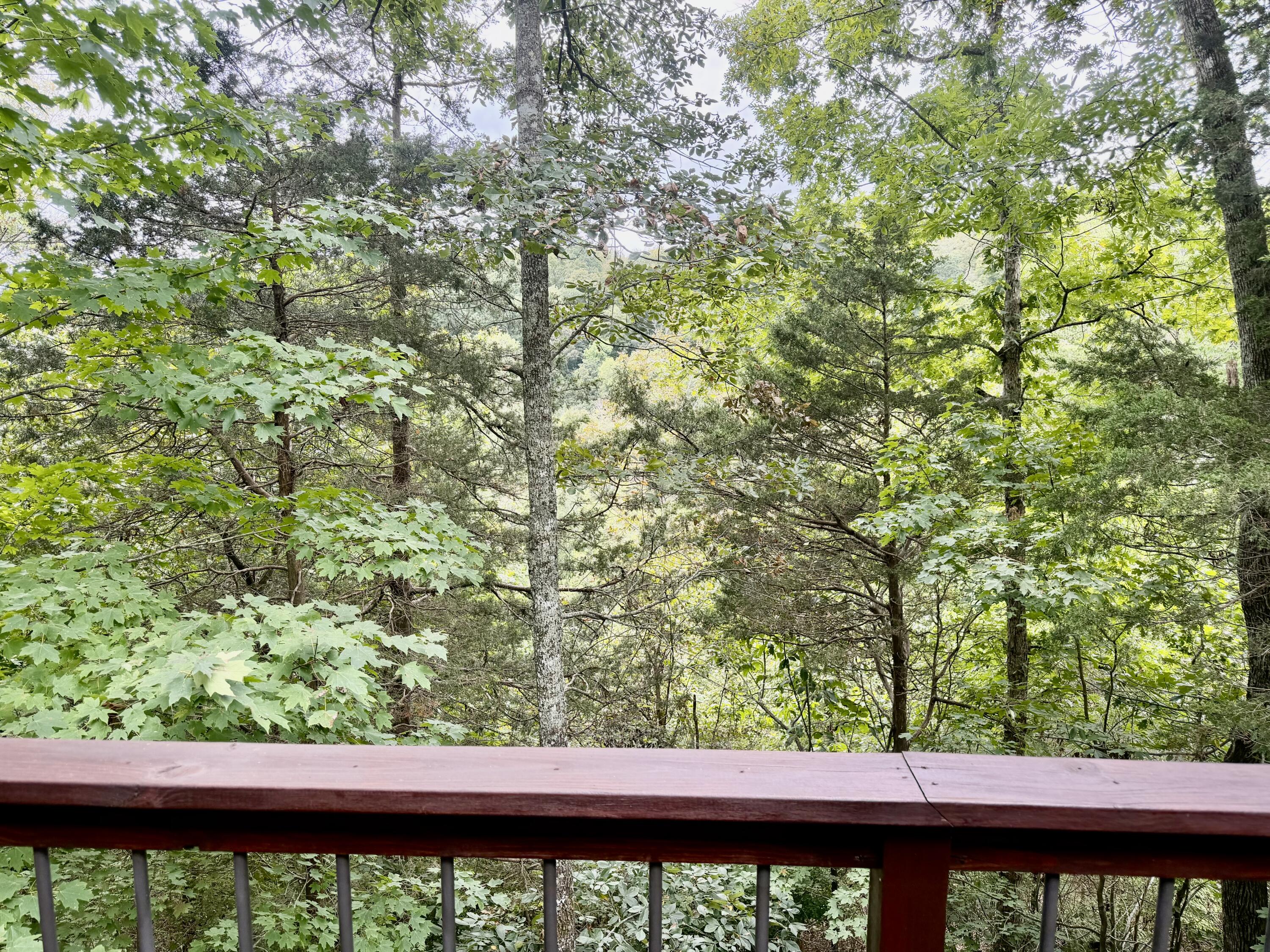 111 Cabin Drive Property Photo 35