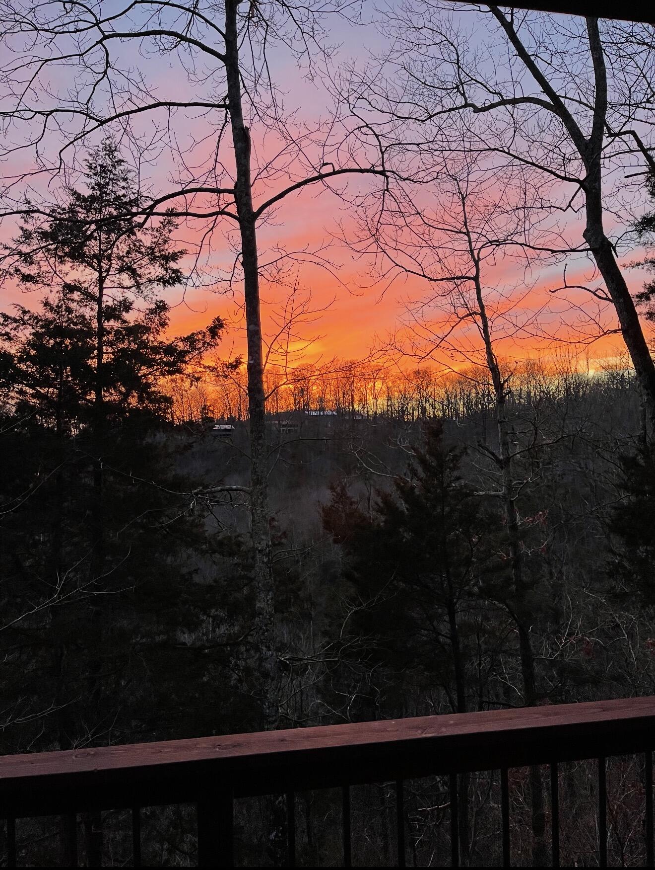 111 Cabin Drive Property Photo 36