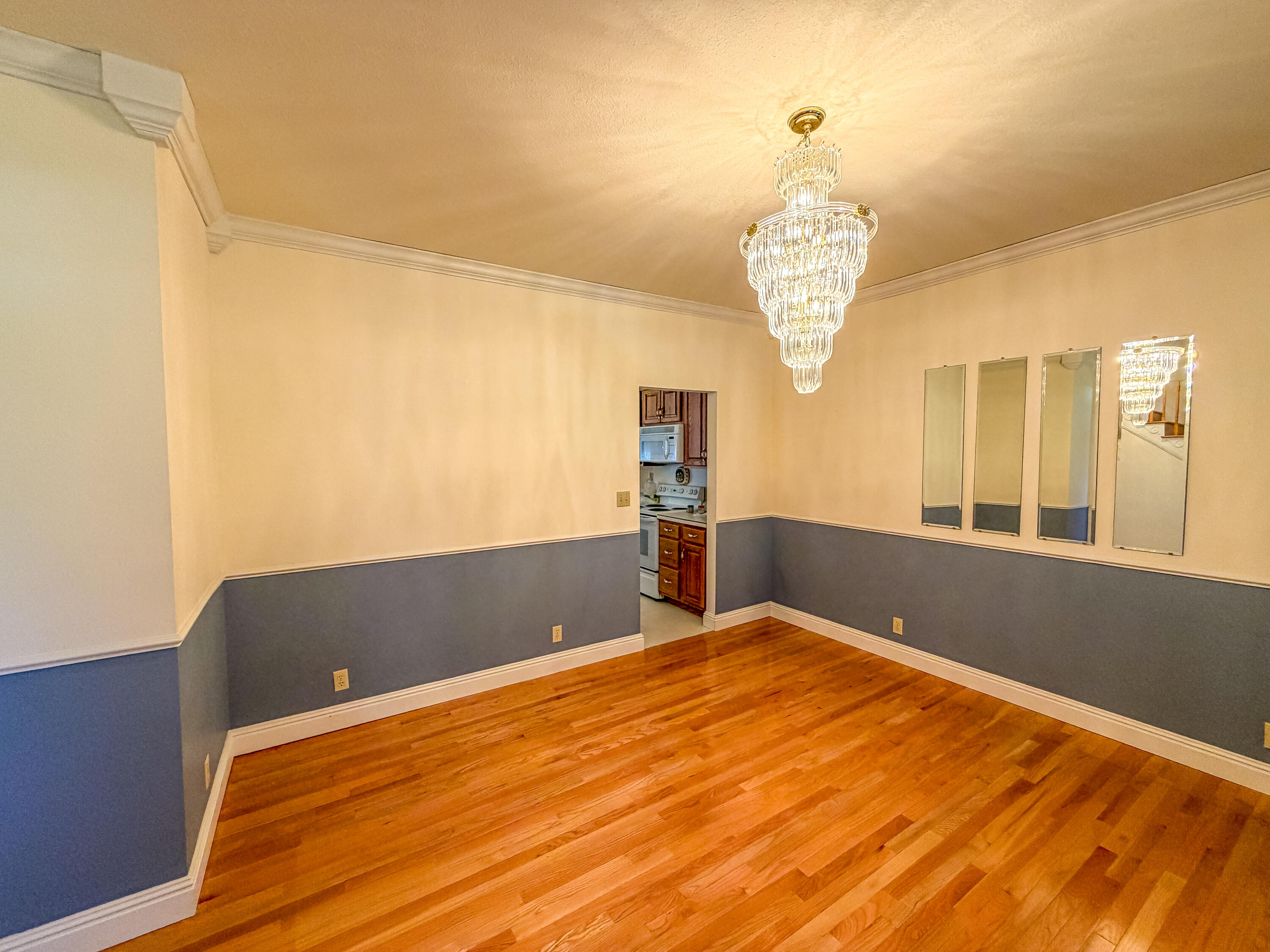 3095 Hill Springs Drive Property Photo 24
