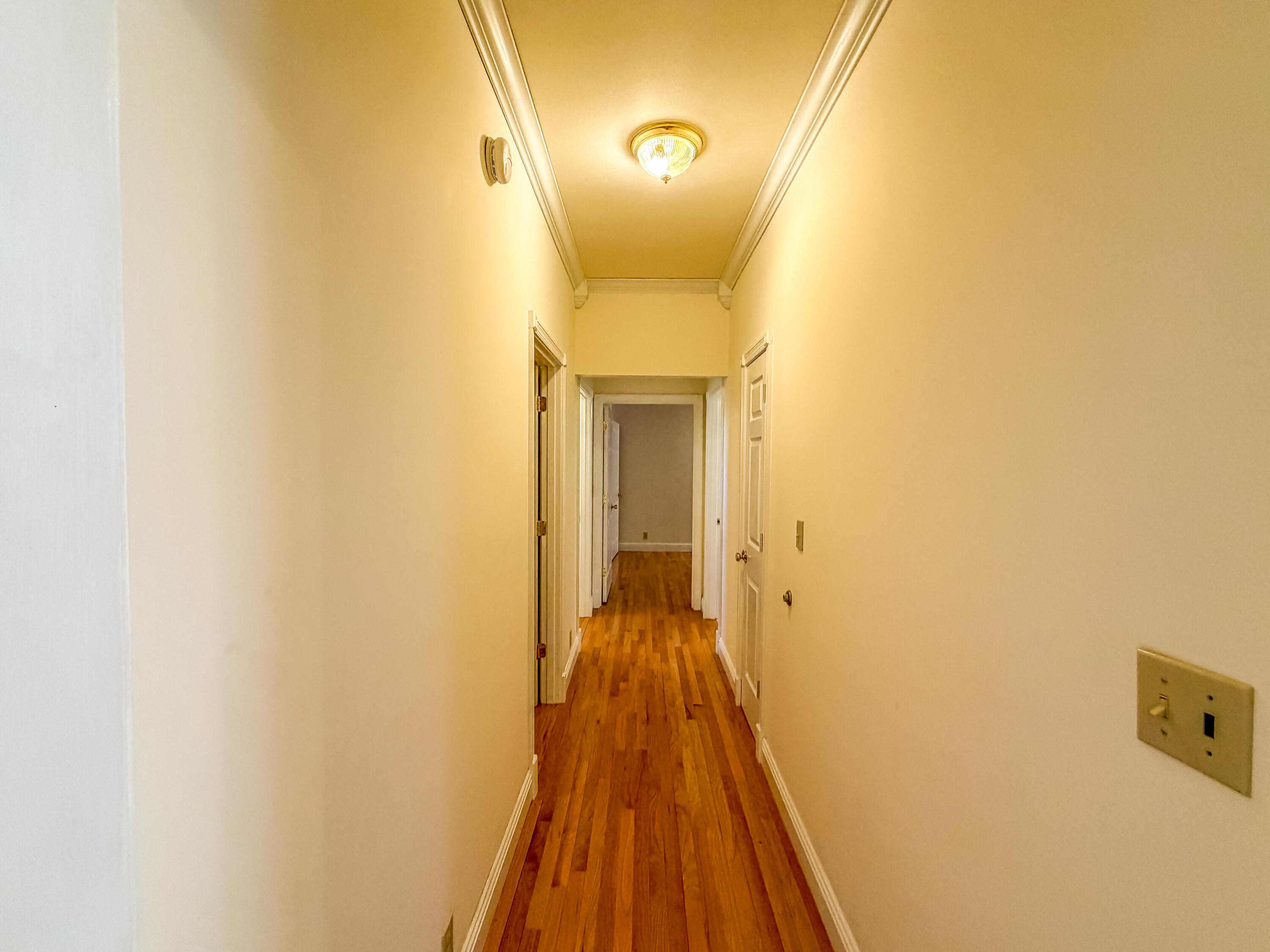 3095 Hill Springs Drive Property Photo 26