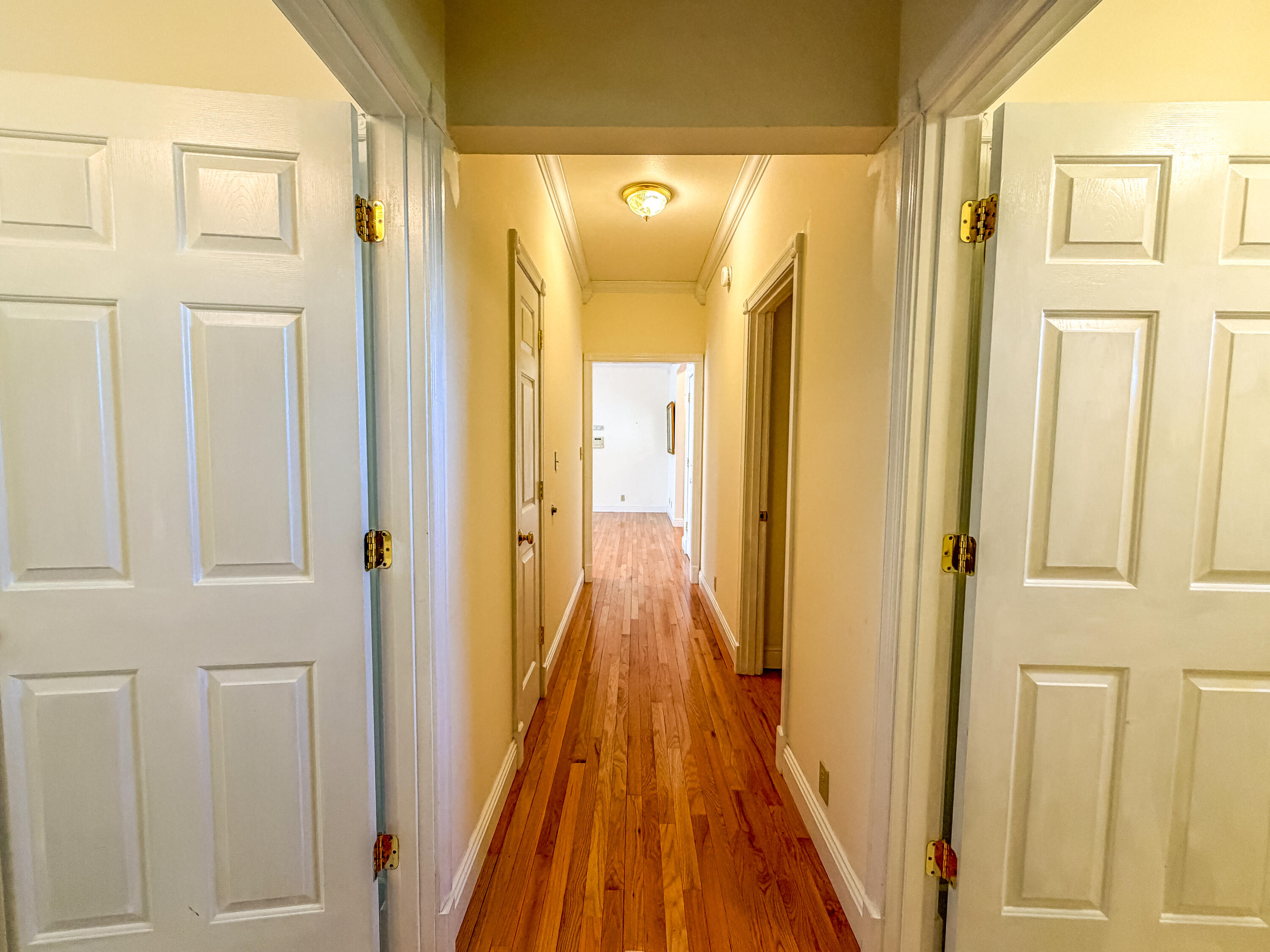 3095 Hill Springs Drive Property Photo 27