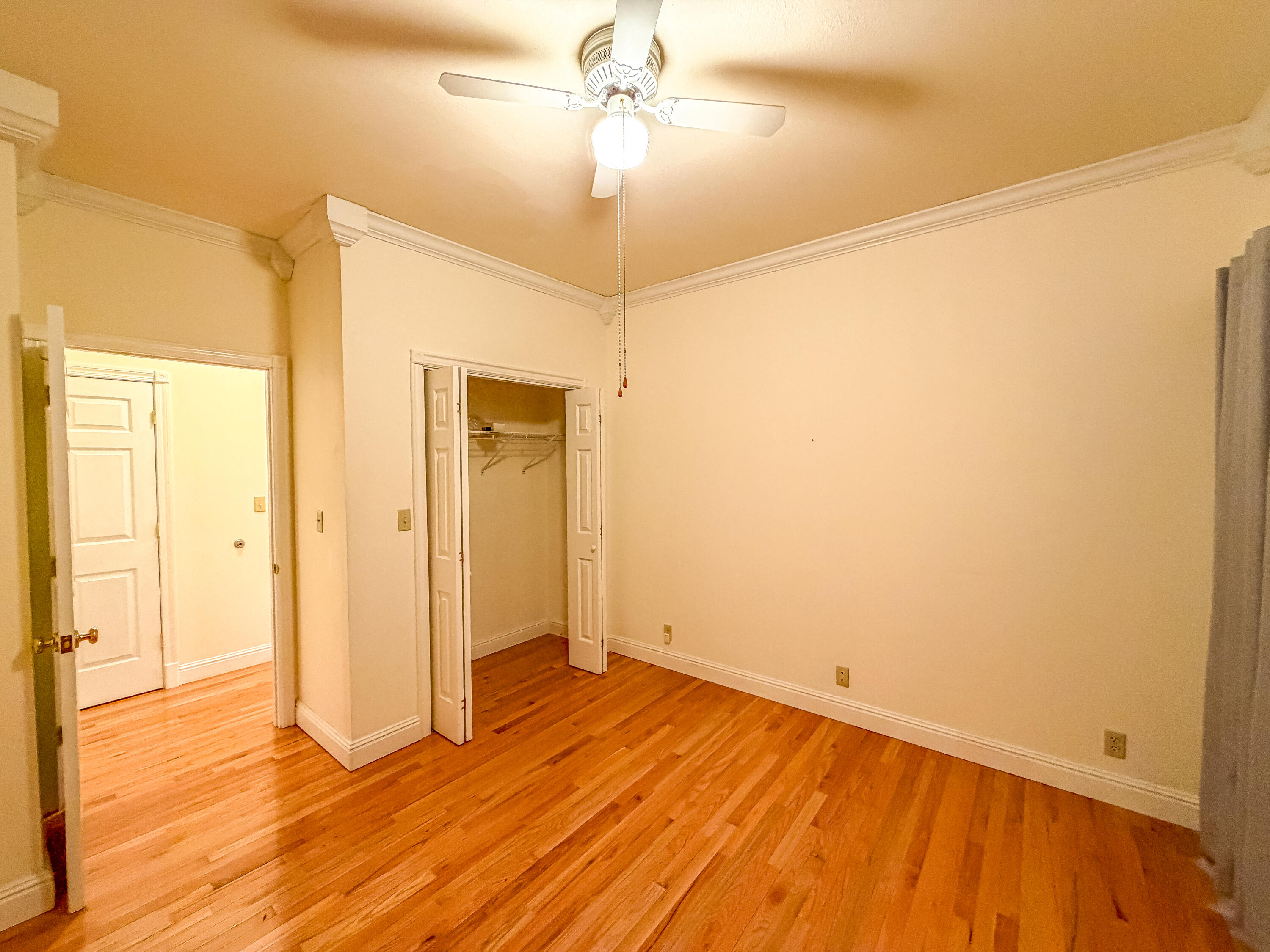 3095 Hill Springs Drive Property Photo 29